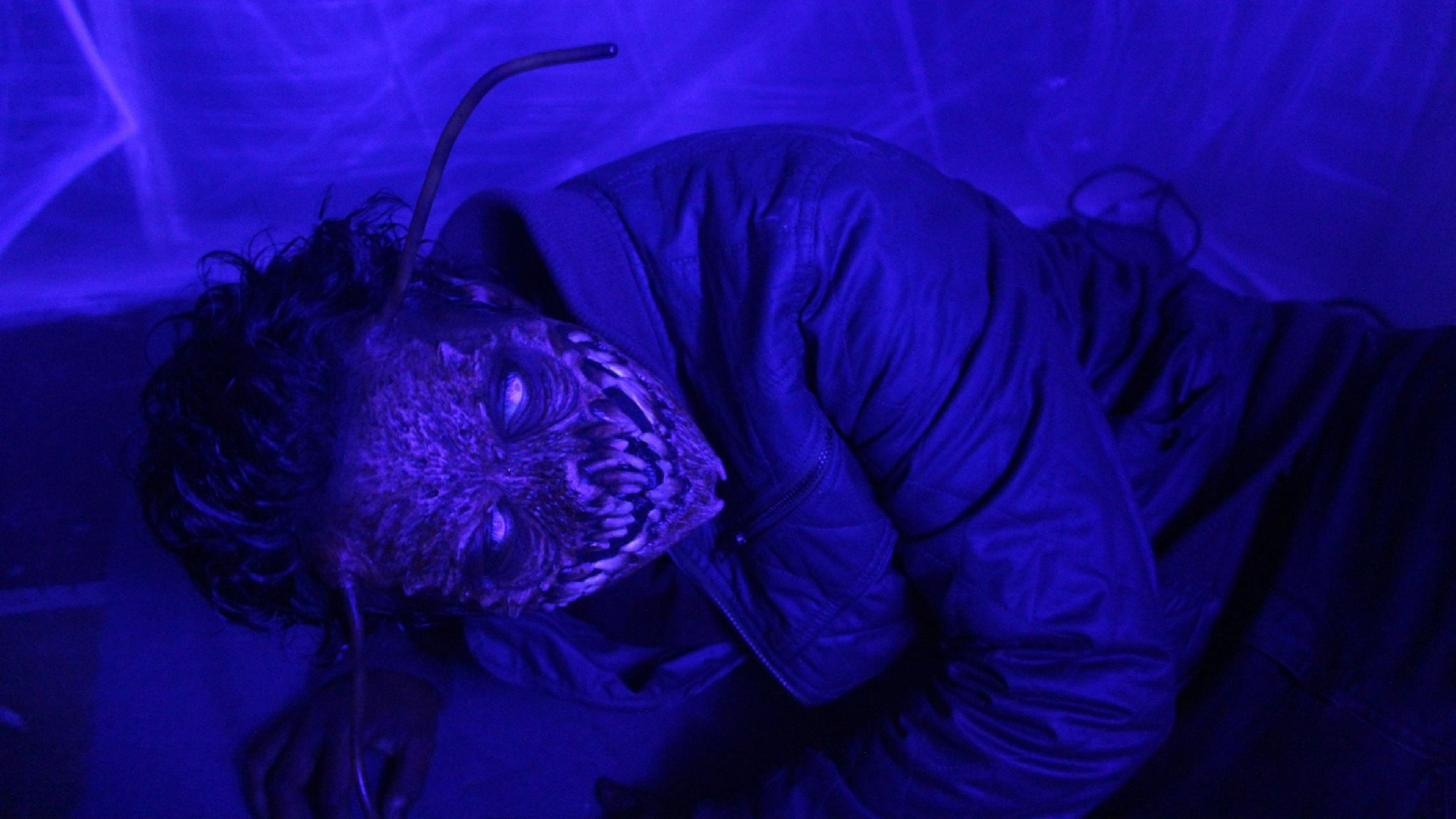 Backdrop for The Metamorphosis Experiment