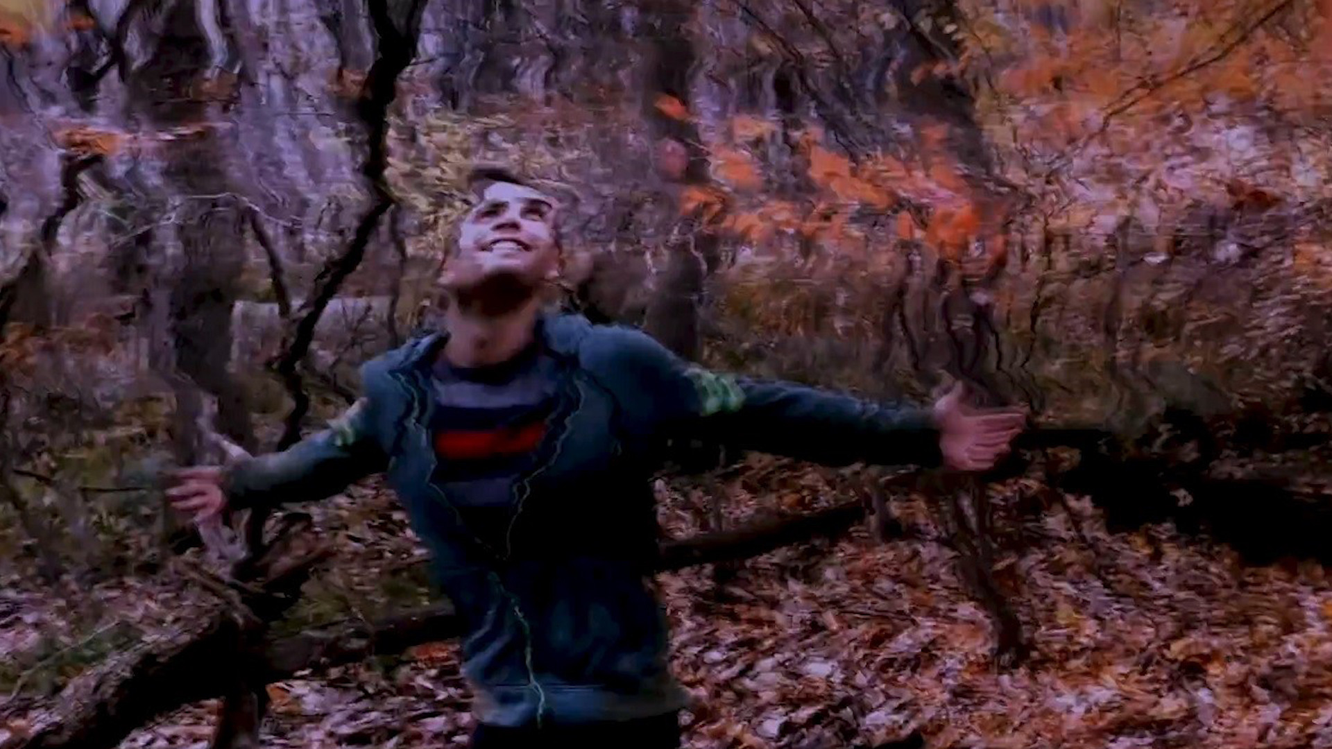 Backdrop for The 5th Kind