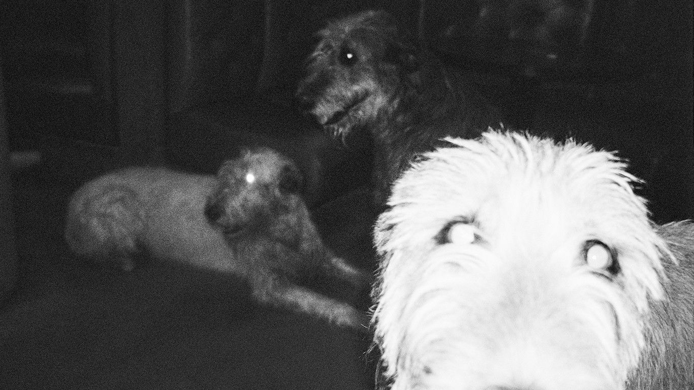 Backdrop for Not the Wound but the Scar