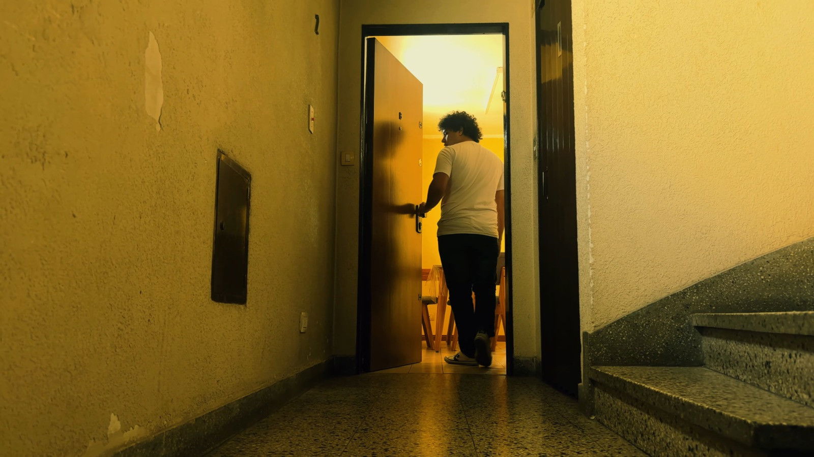 Backdrop for Observada