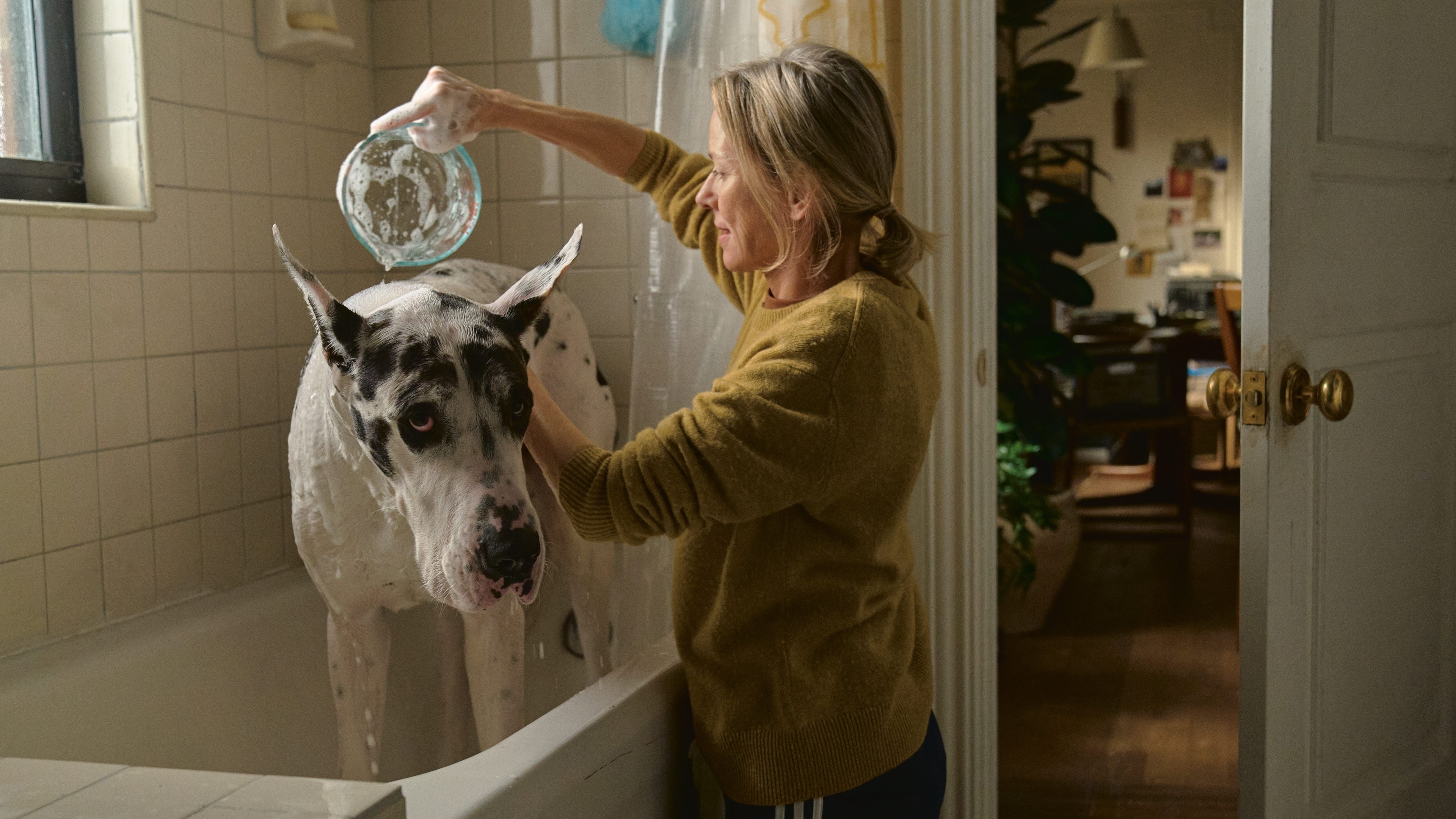 Backdrop for The Friend