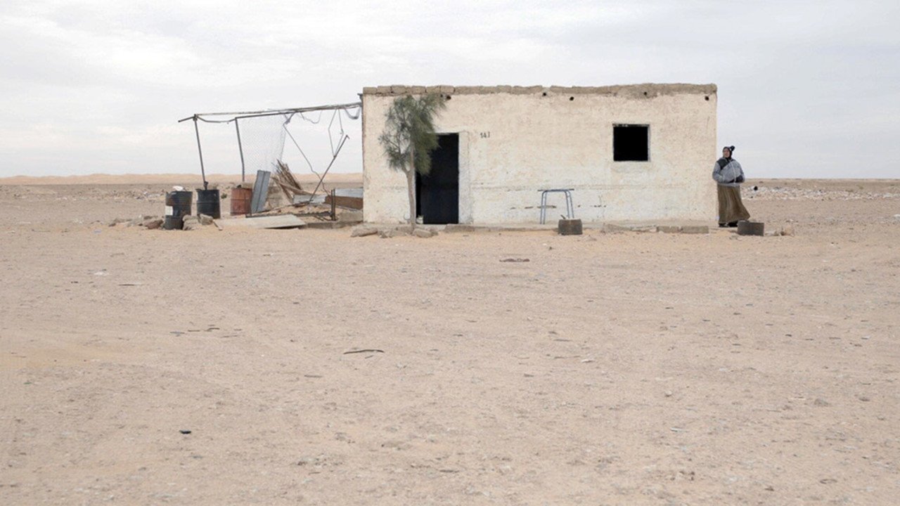 Backdrop for 143 Sahara Street