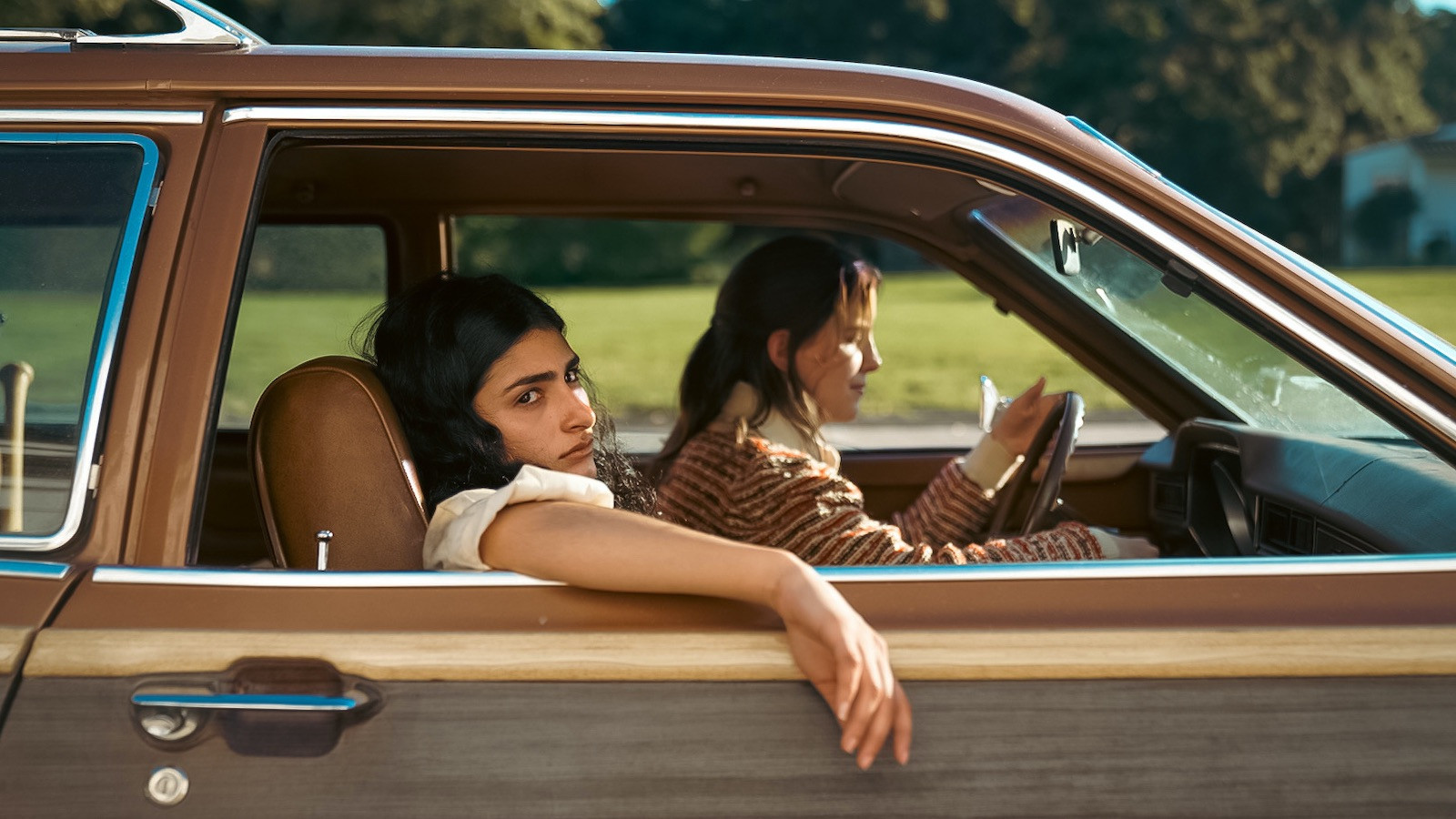 Backdrop for Dandelion