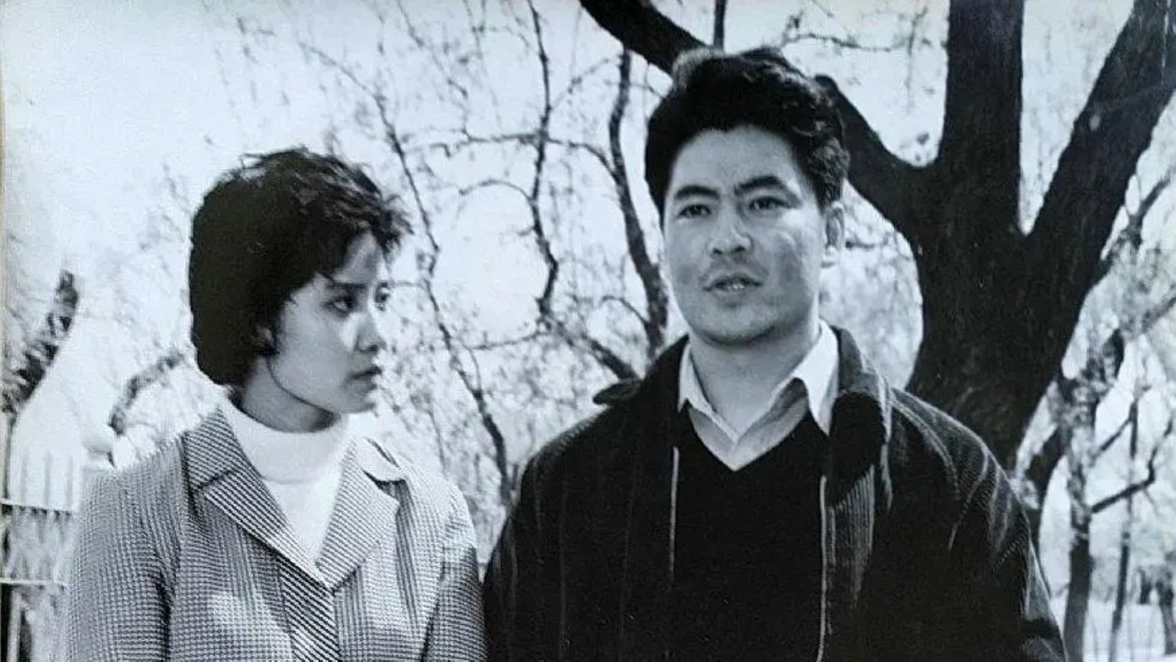 Backdrop for 东方剑