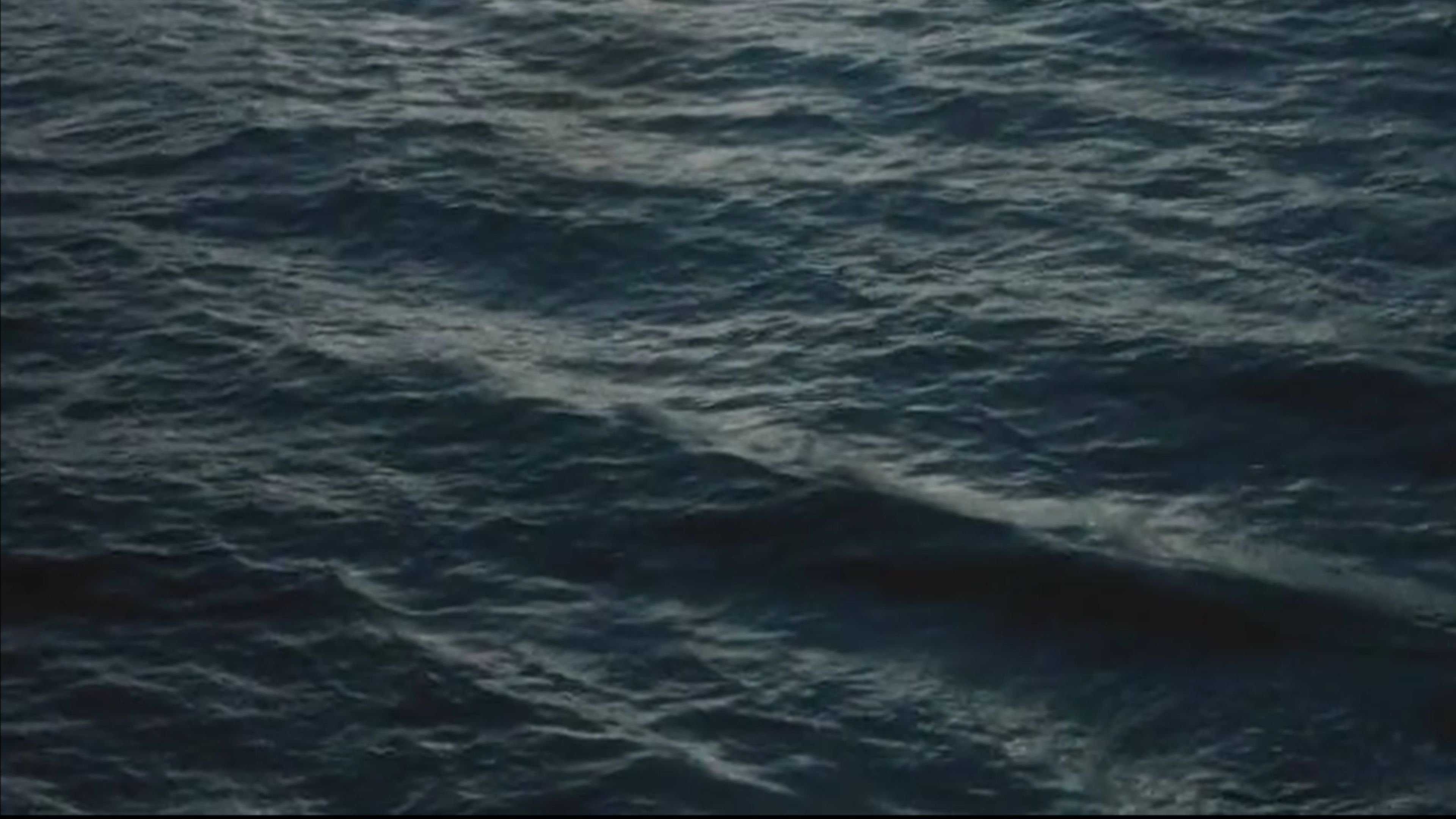 Backdrop for Sick of Moving Images