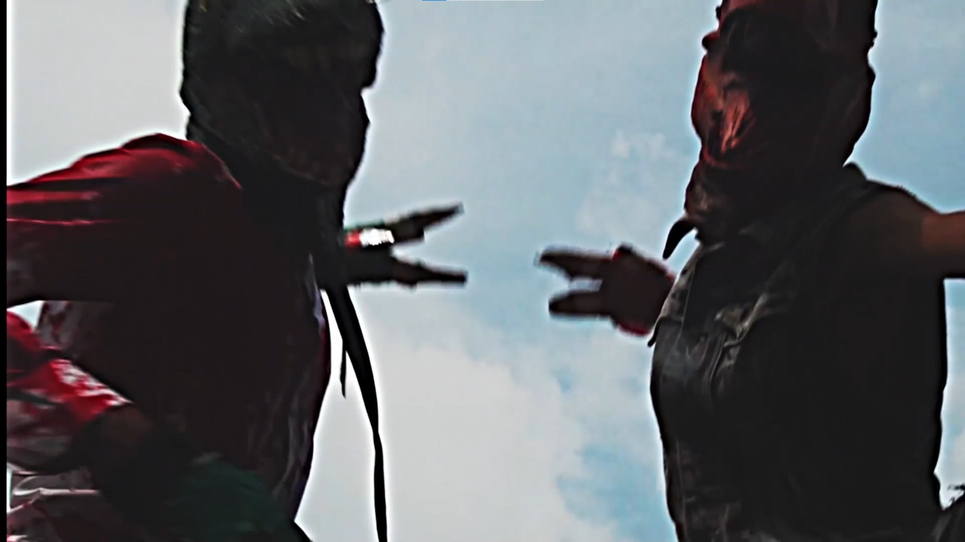 Backdrop for Raptor Fight!