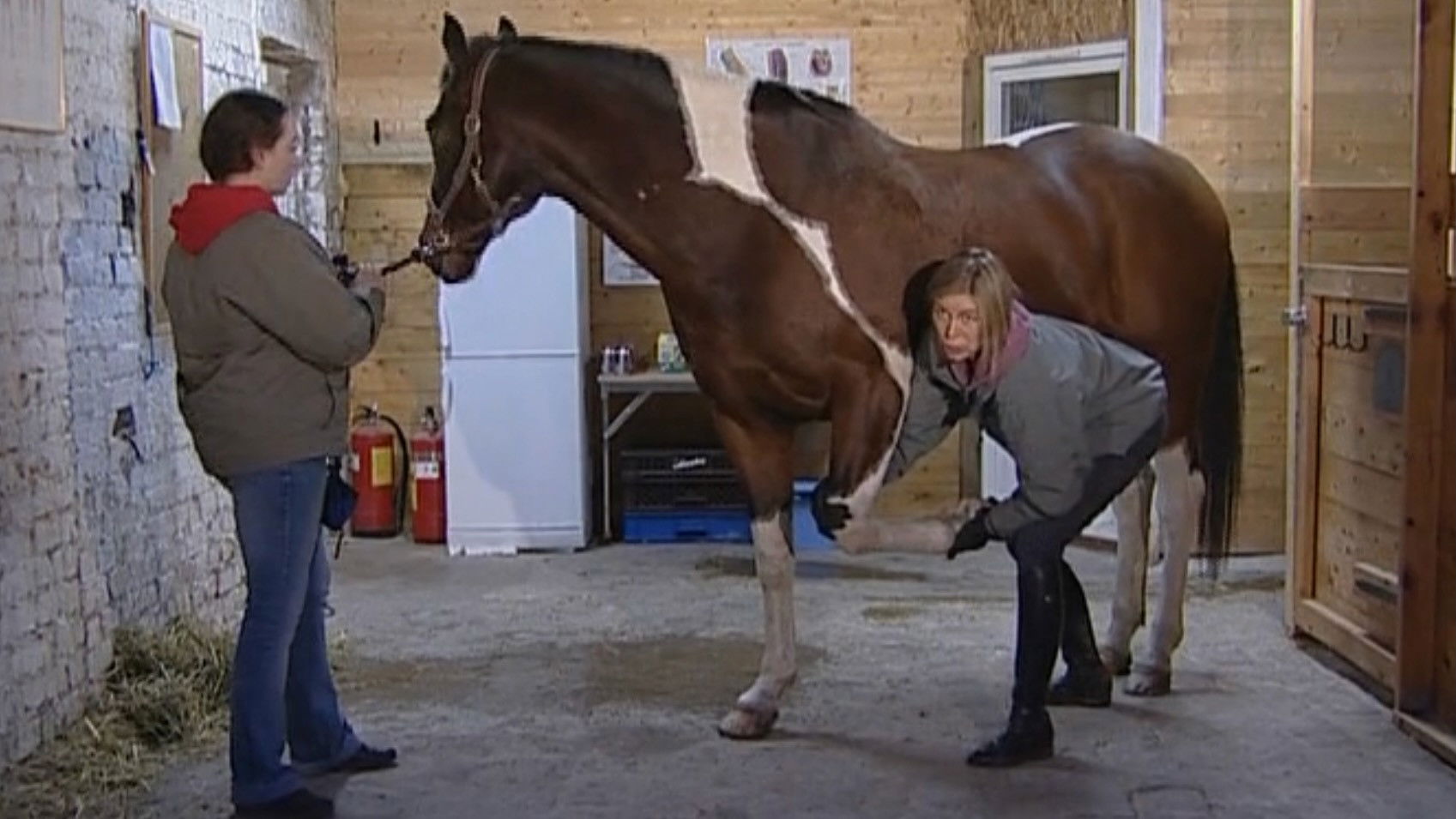 Backdrop for Rörelse utan Gränser
