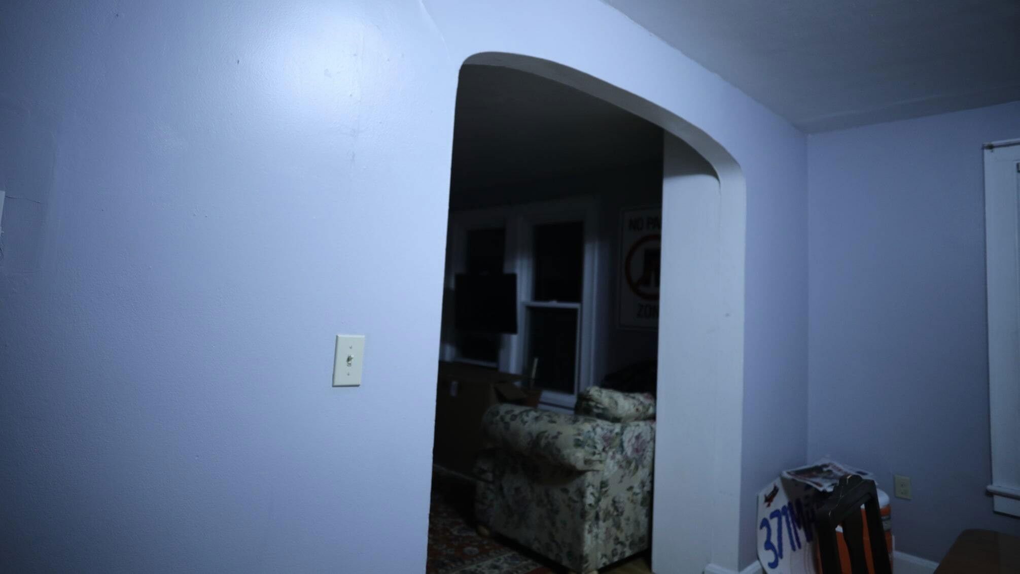 Backdrop for Lichen and Twice the Control of People