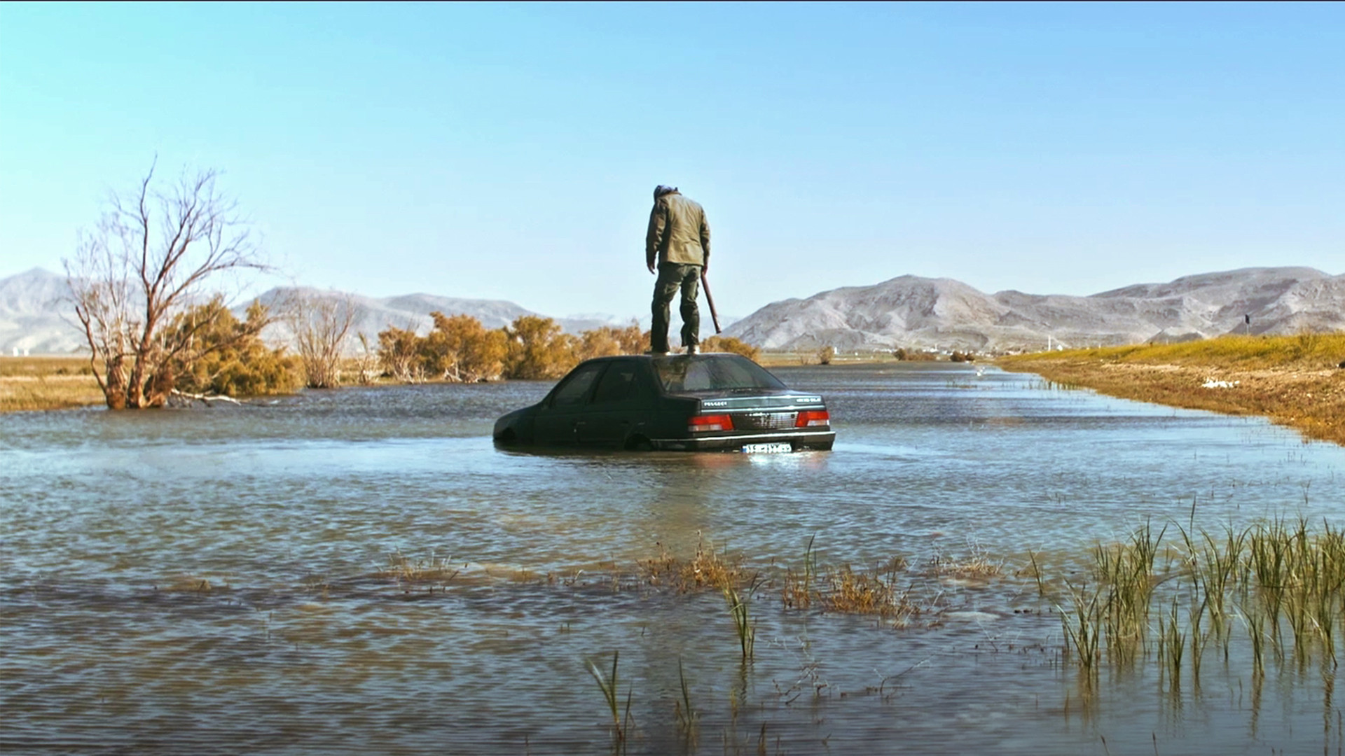 Backdrop for Kashokhin