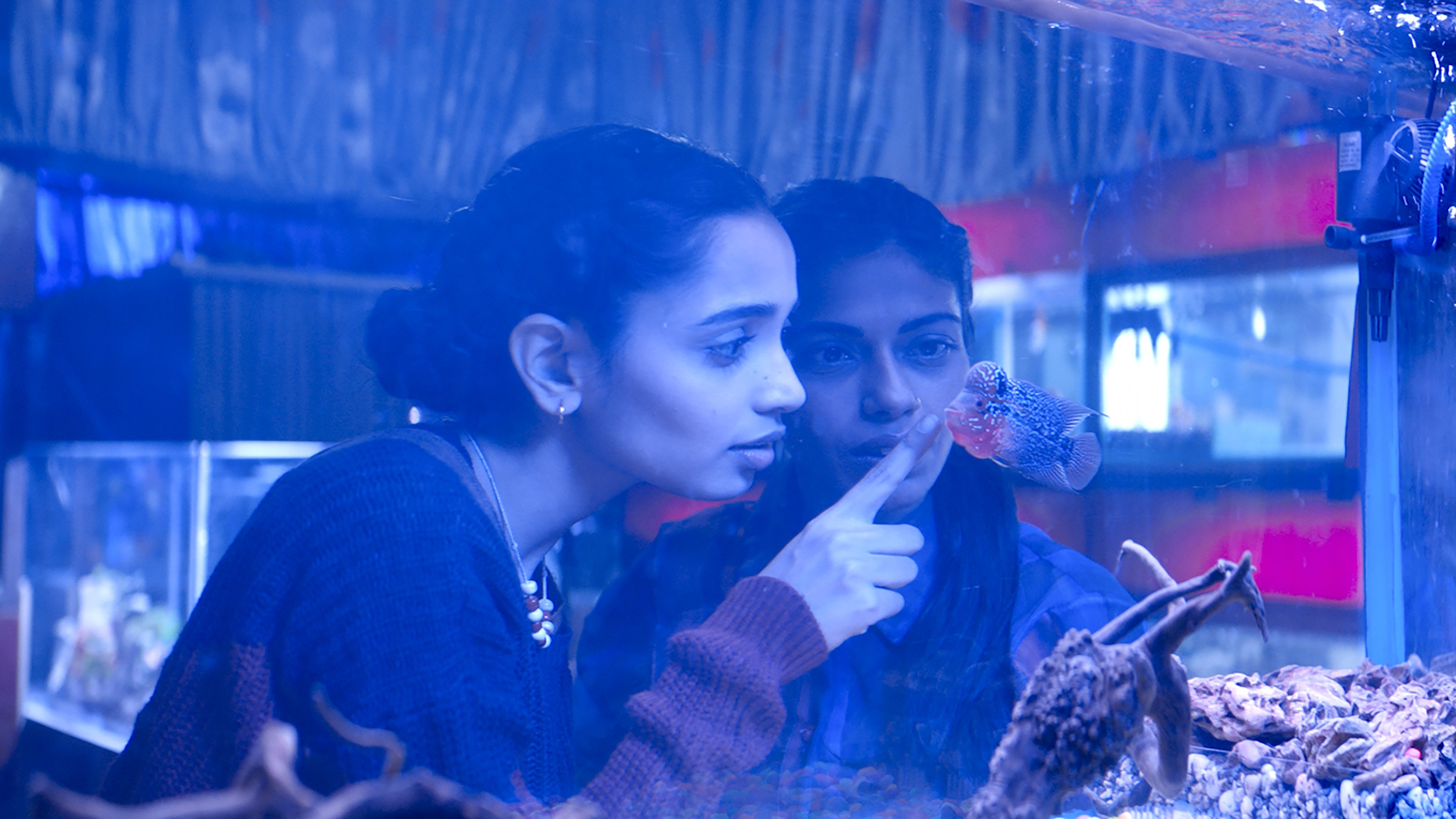 Backdrop for The Shameless