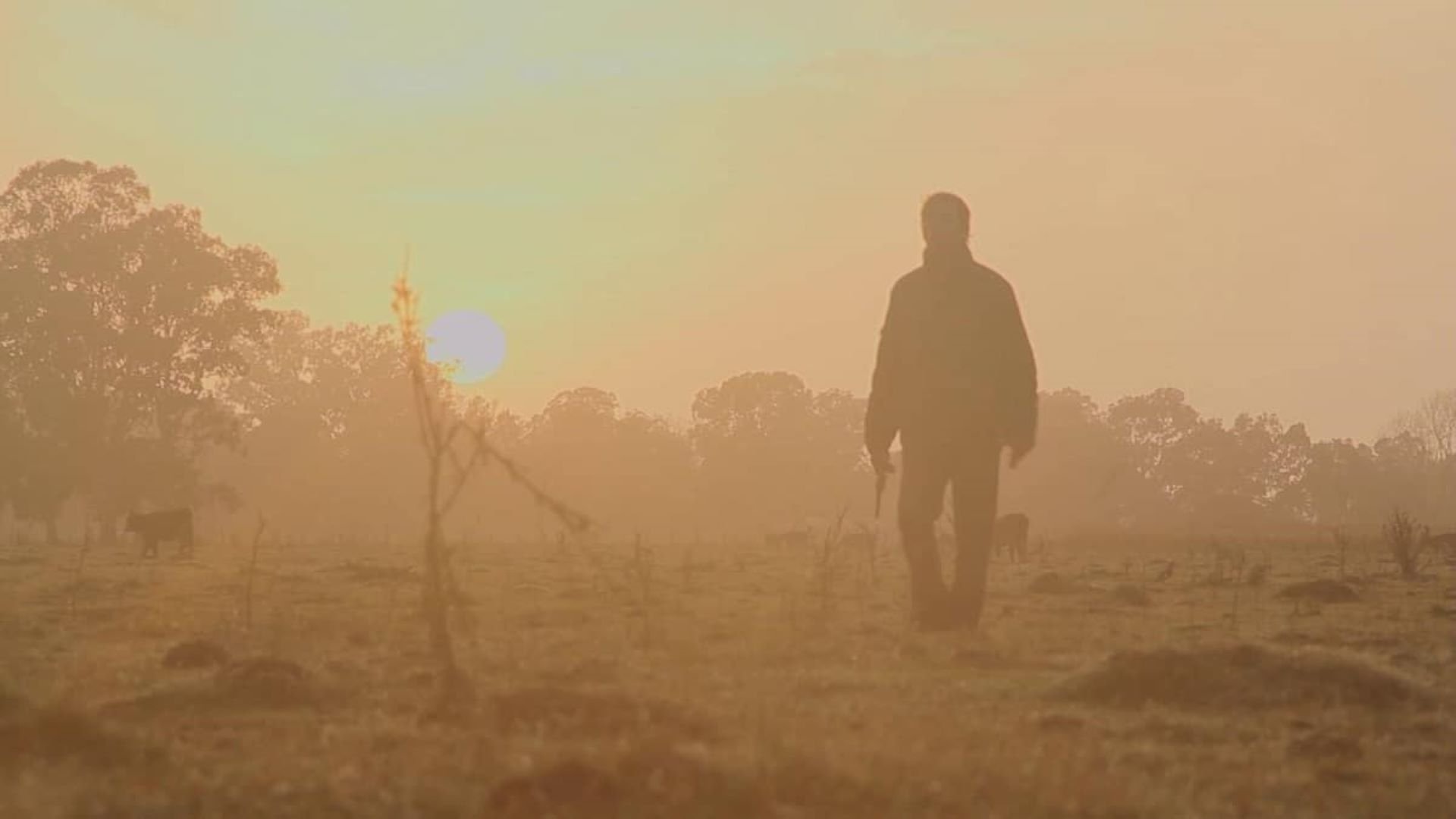 Backdrop for Sorgalim