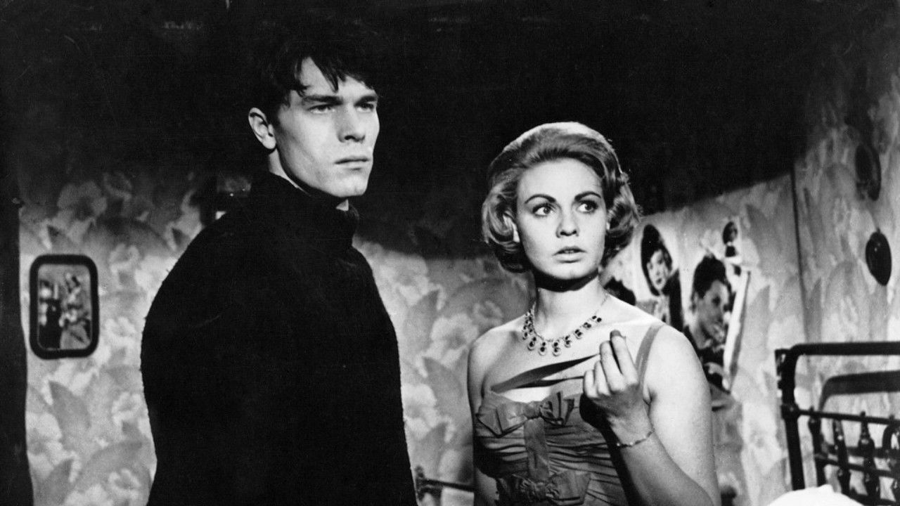 Backdrop for Lovers Woods