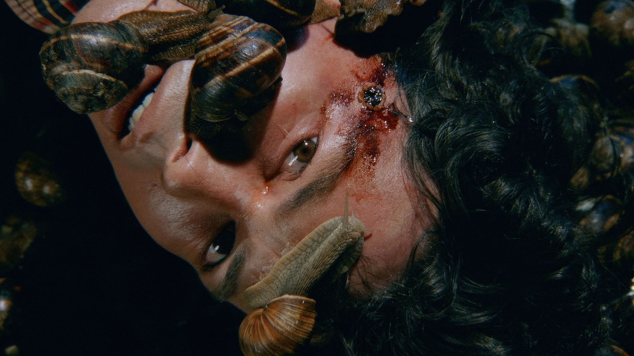 Backdrop for Snails in the Head