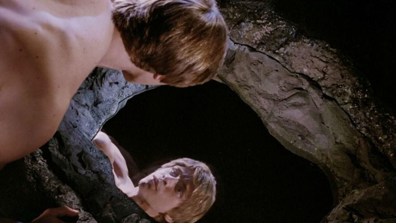 Backdrop for Narcissus