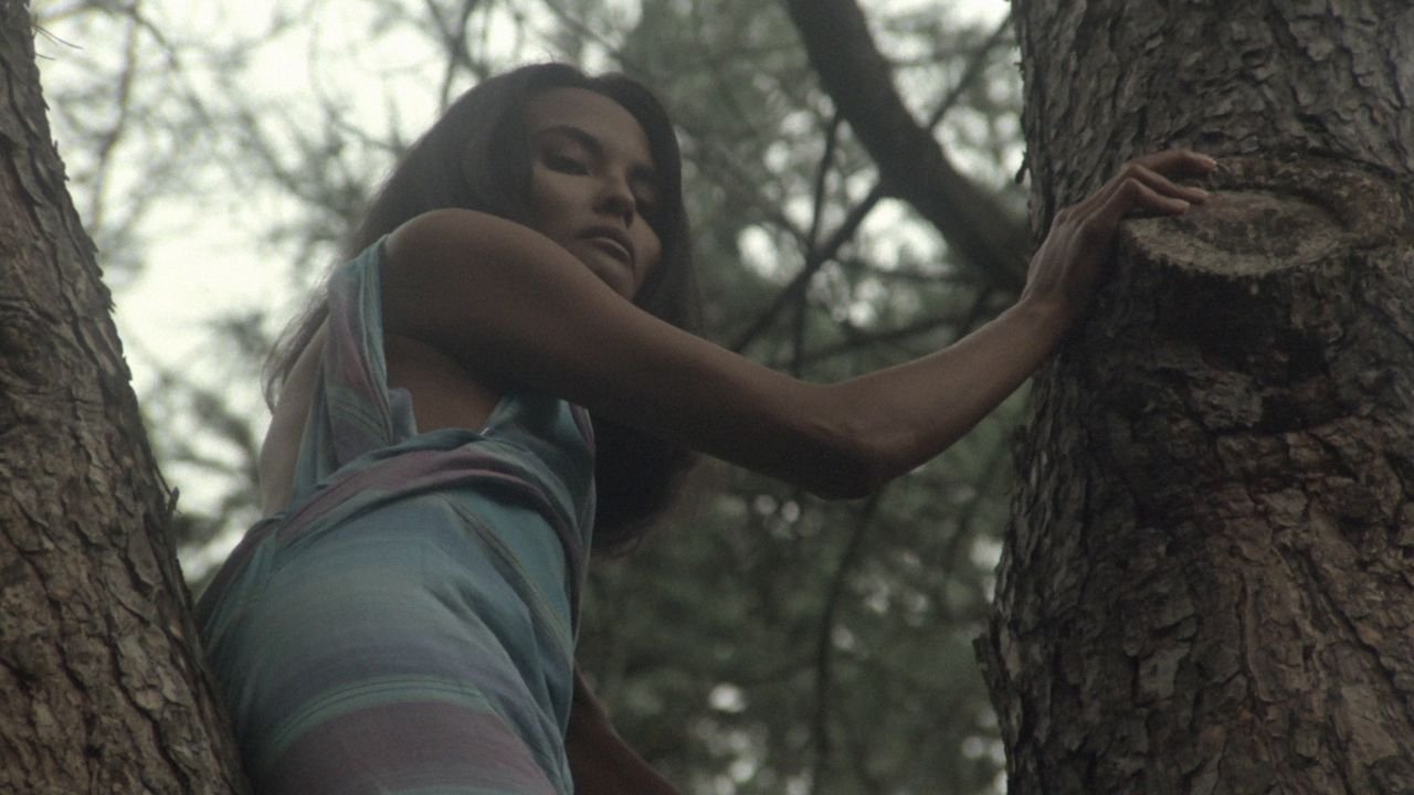 Backdrop for The Alcove