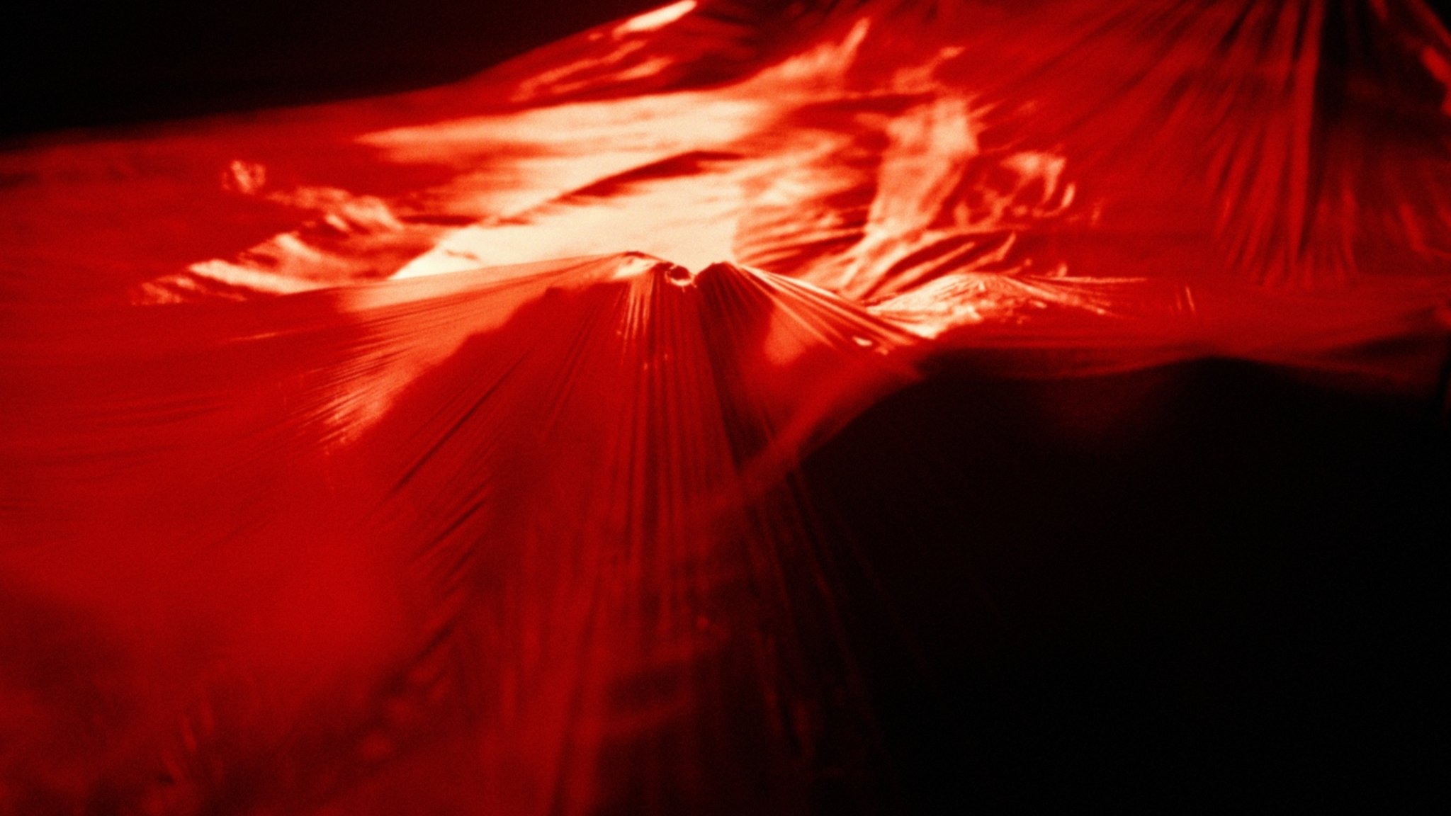 Backdrop for Trauma Porn Club