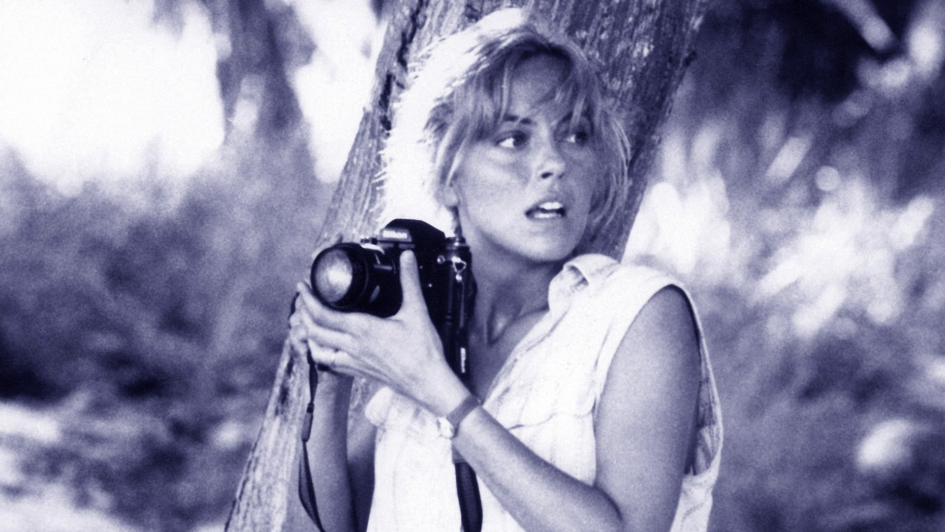 Backdrop for Turtle Beach