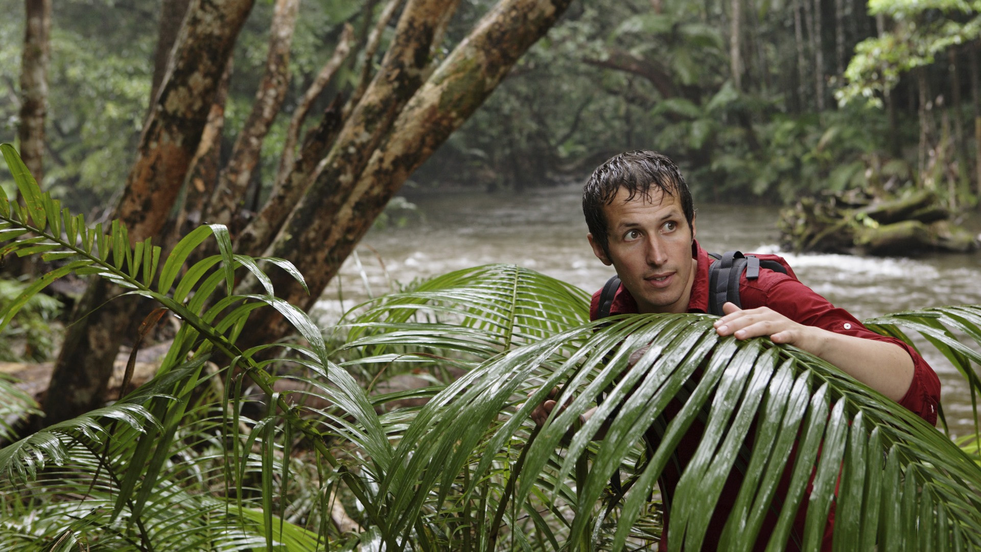 Backdrop for Willi and the wonders of this world