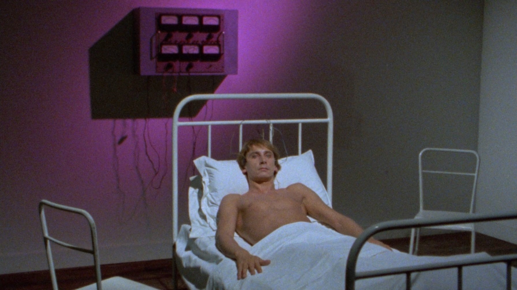 Backdrop for Patrick Still Lives