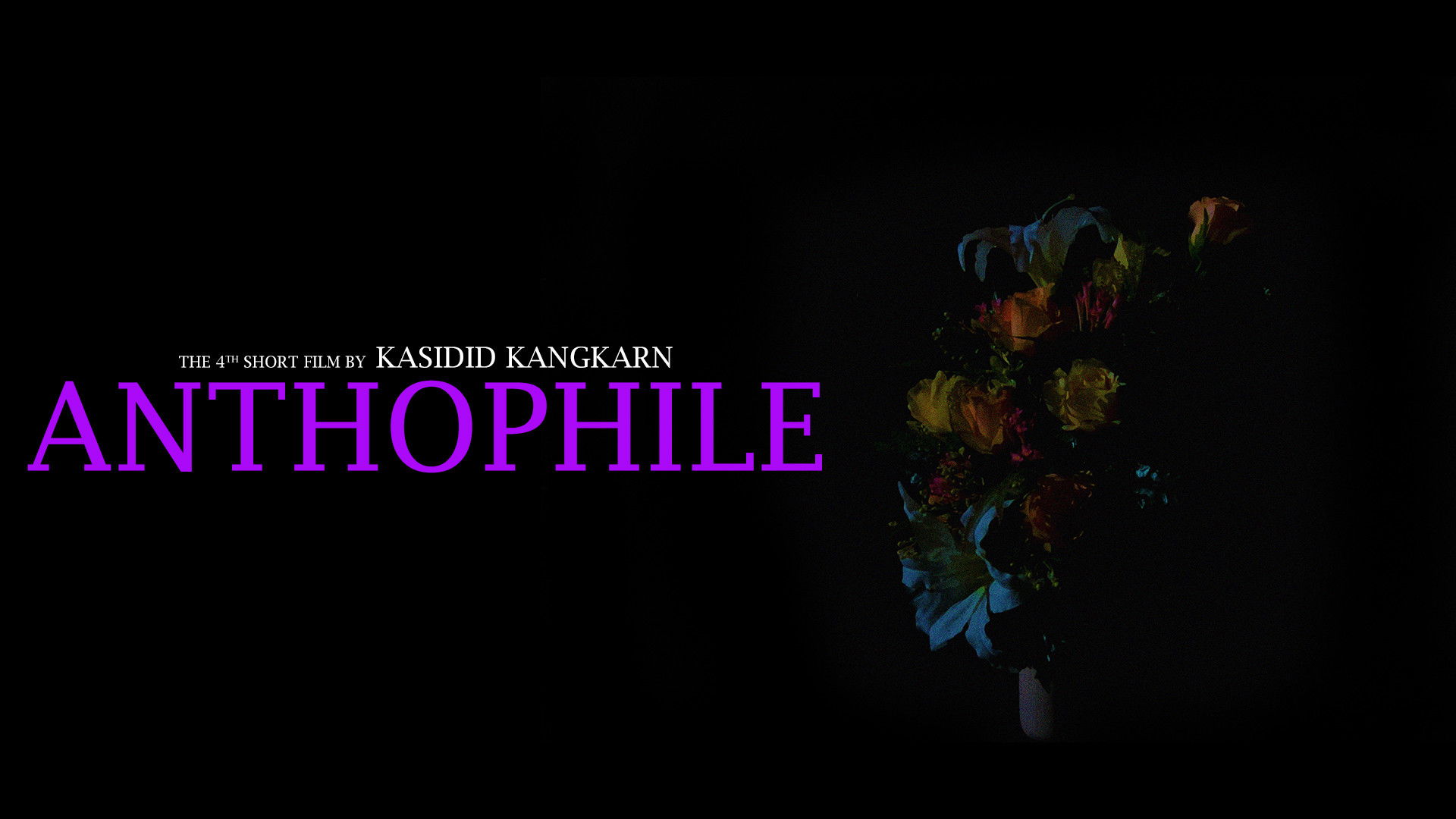 Backdrop for Anthophile