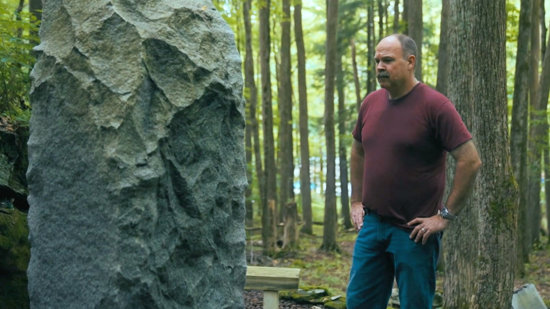 Backdrop for Campfire