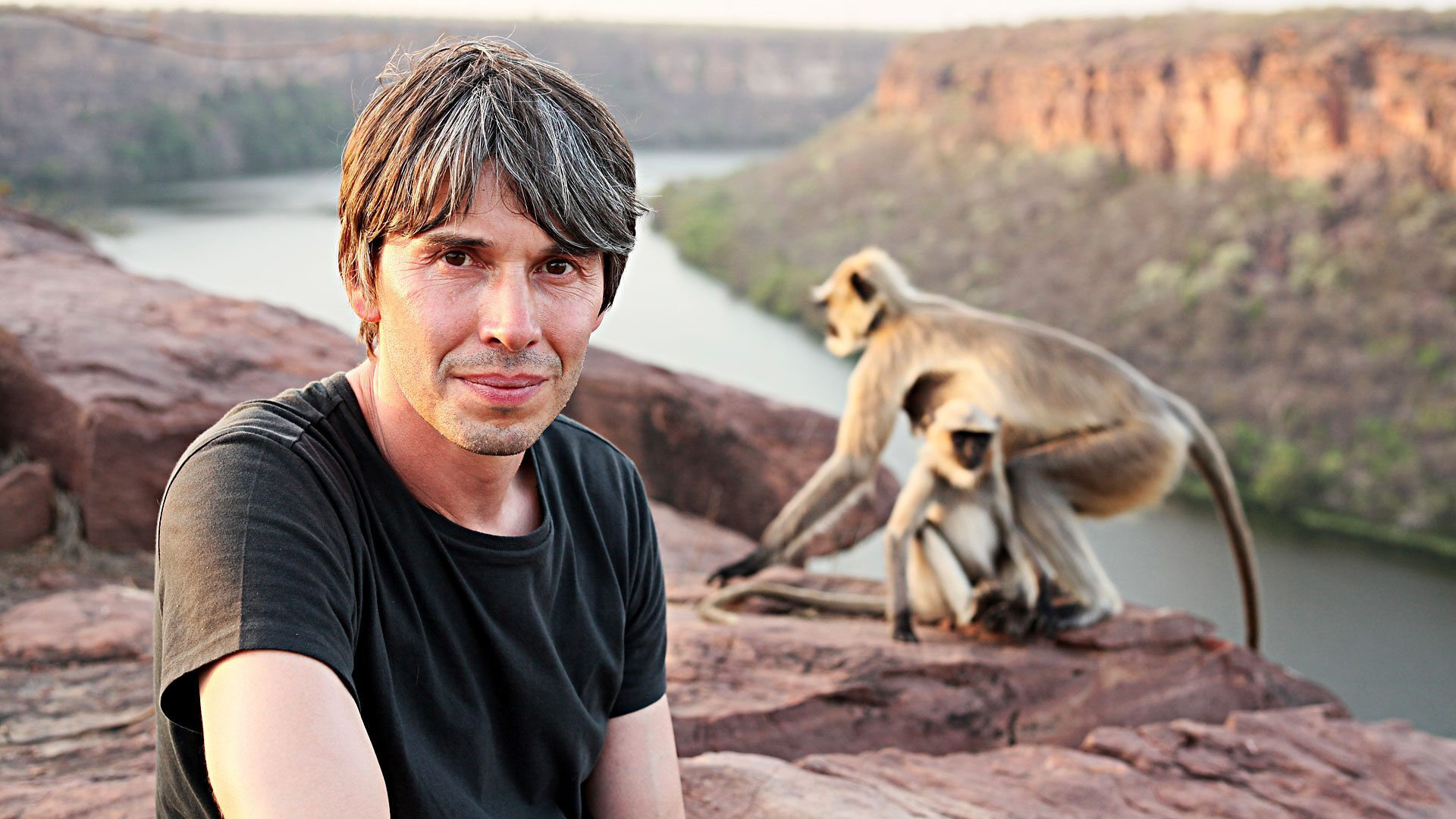 Backdrop for Human Universe