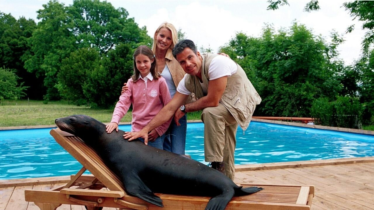 Backdrop for Hallo Robbie!