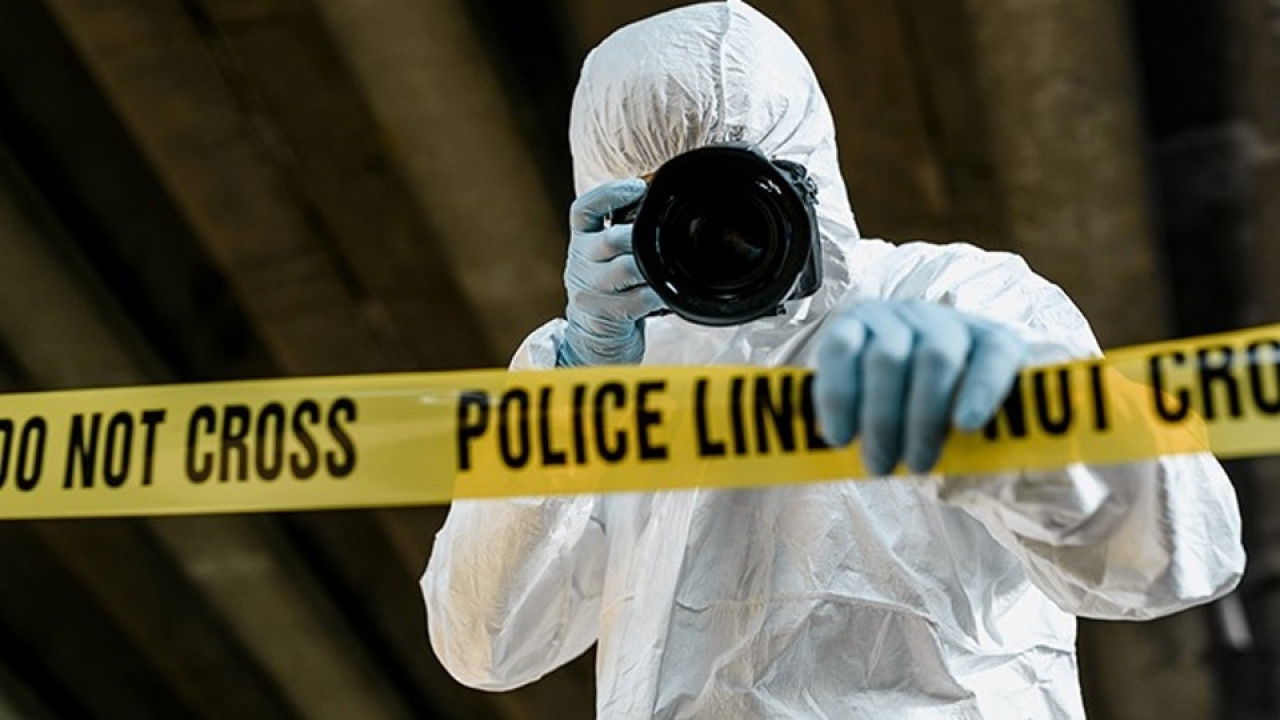 Backdrop for 13th Day of Christmas