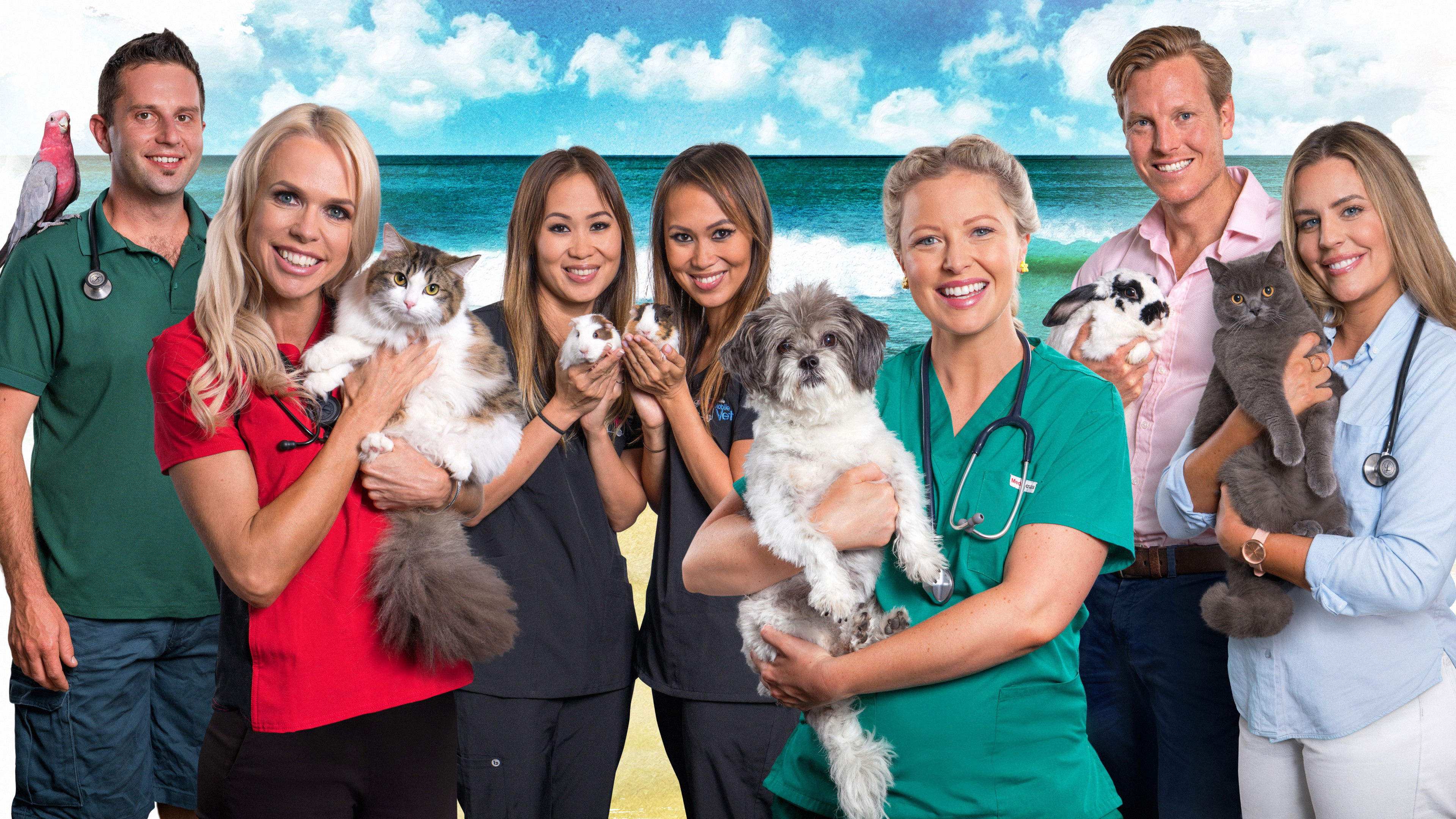 Backdrop for Bondi Vet: Coast to Coast