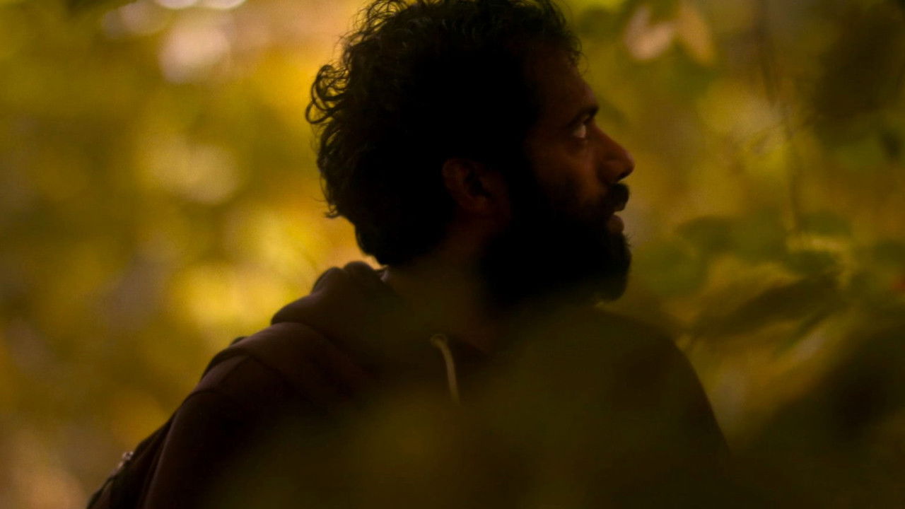 Backdrop for Soundless Dance