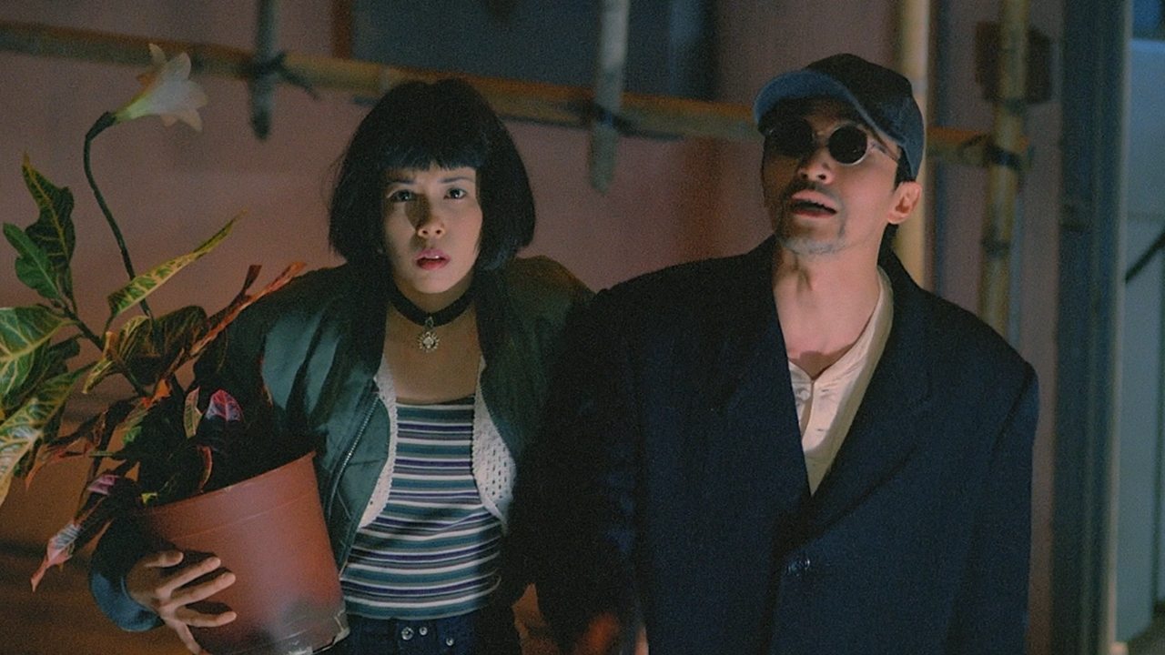 Backdrop for Out of the Dark