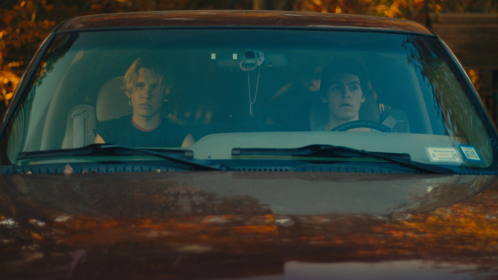 Backdrop for pansies