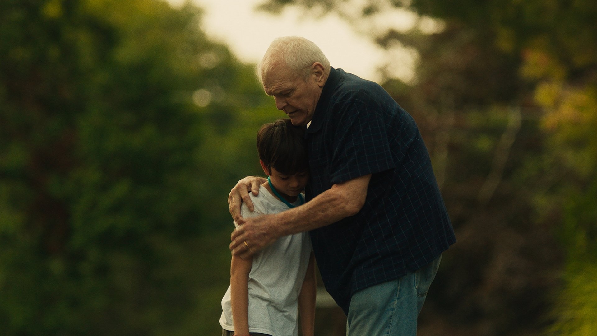 Backdrop for Driveways