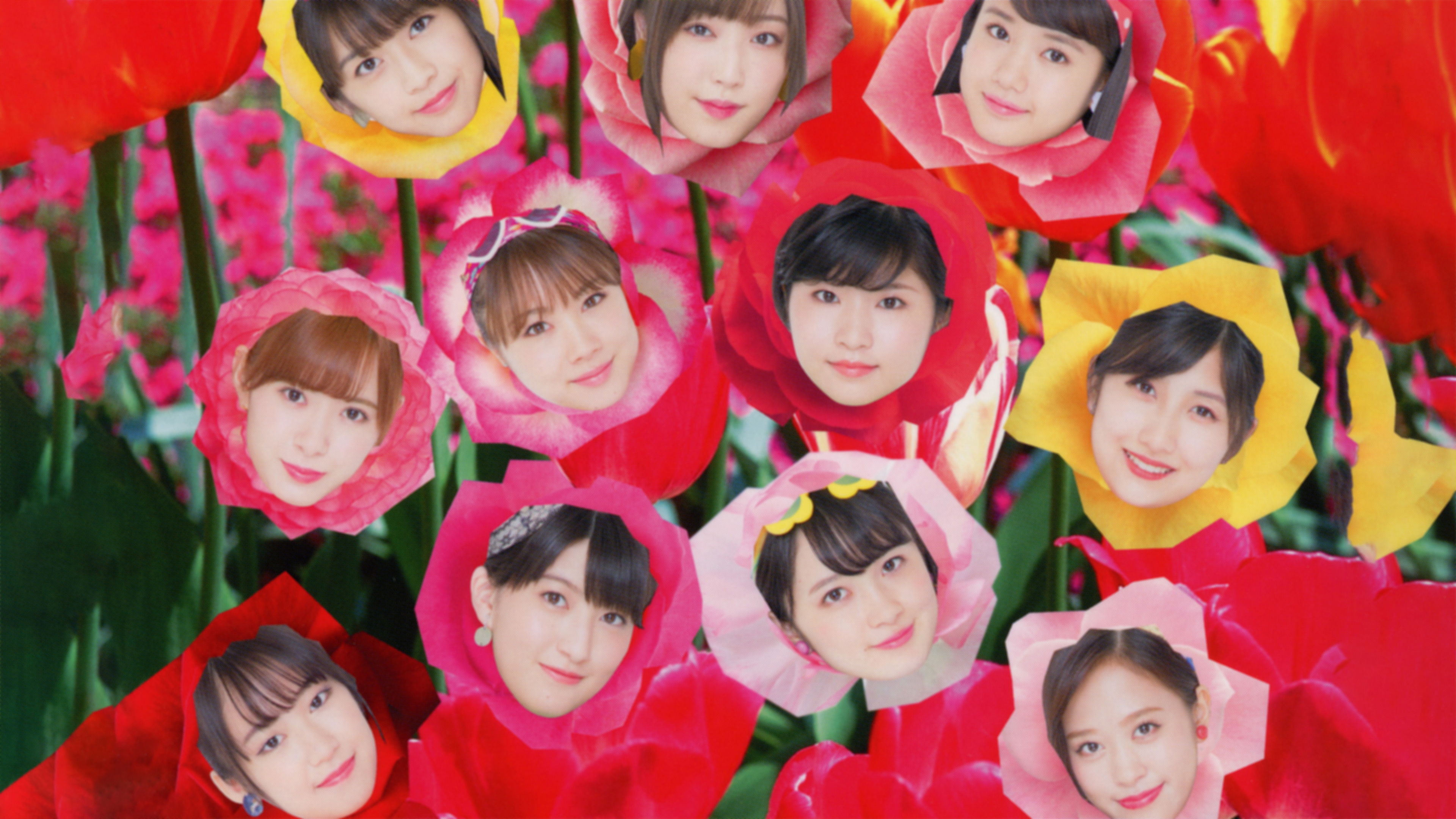 Backdrop for Best! Morning Musume. 20th Anniversary