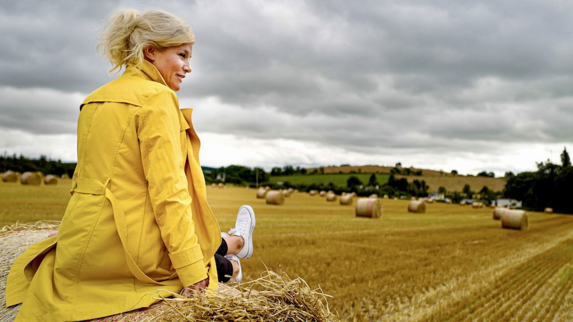 Backdrop for Inas Reisen