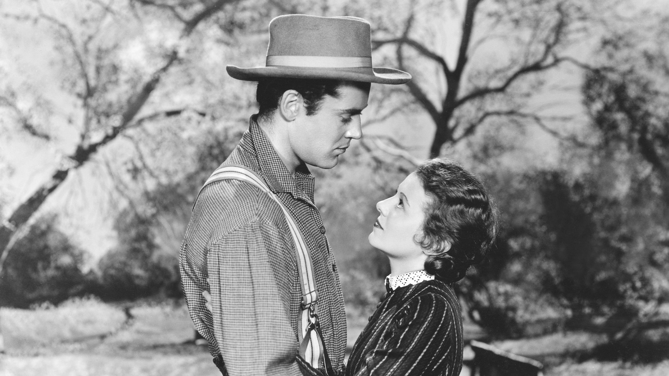 Backdrop for The Farmer Takes a Wife