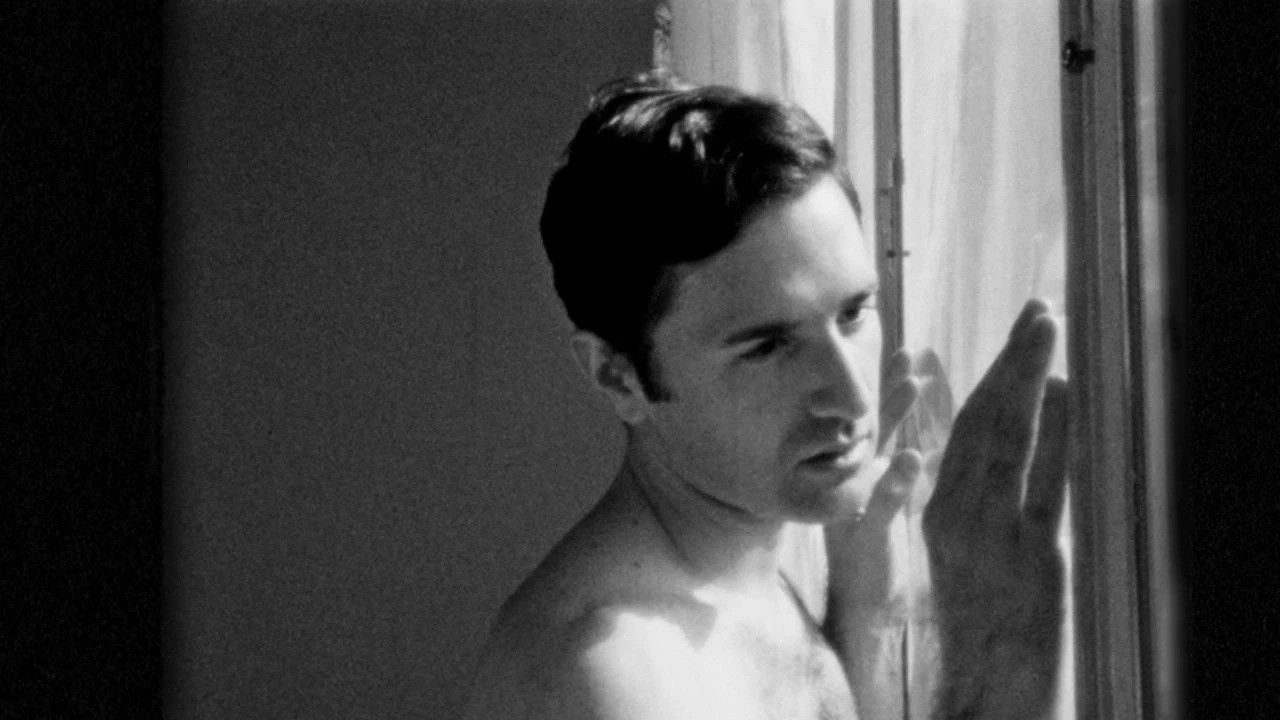 Backdrop for While the Unicorn Is Watching Me