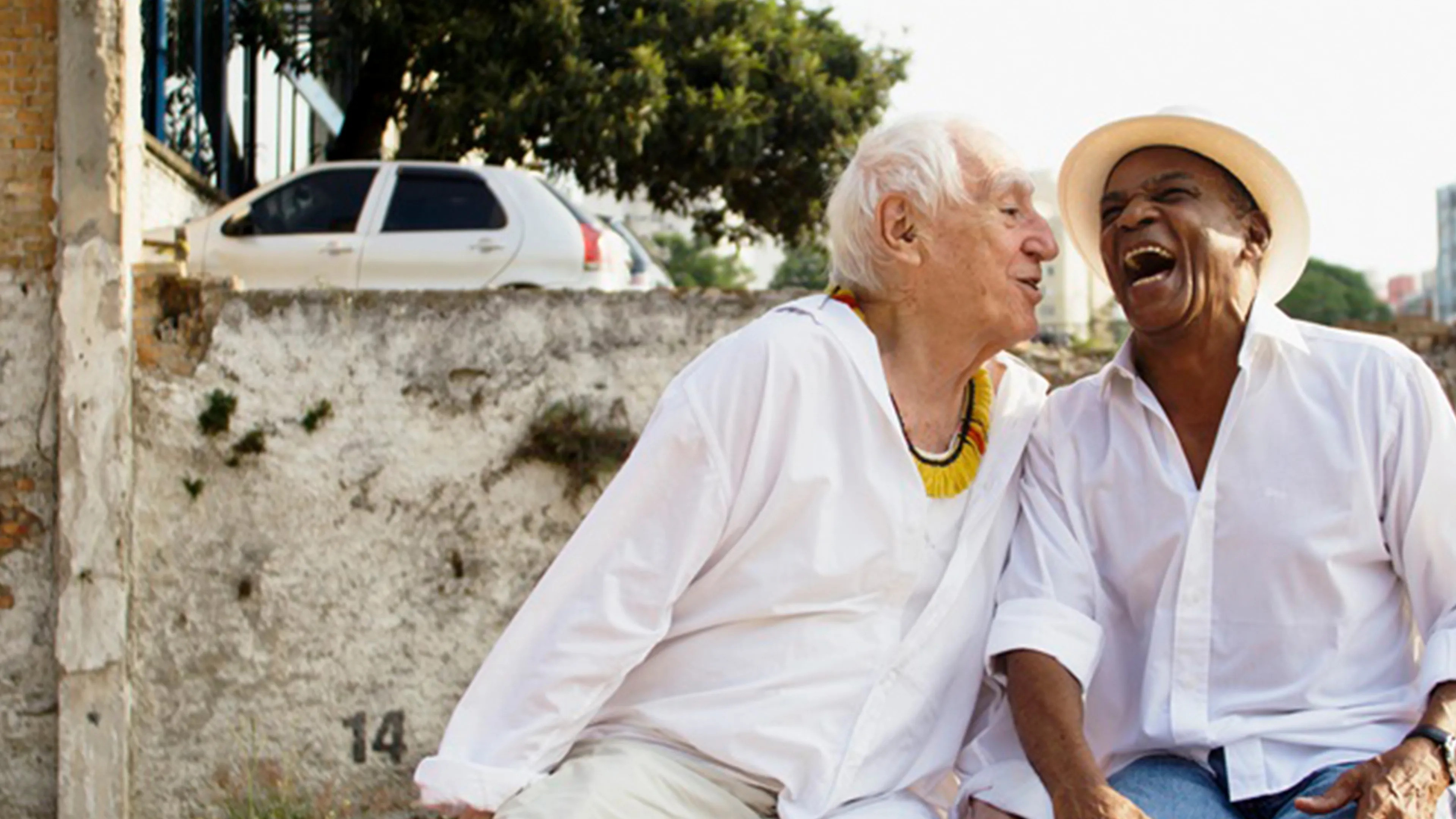 Backdrop for Pitanga