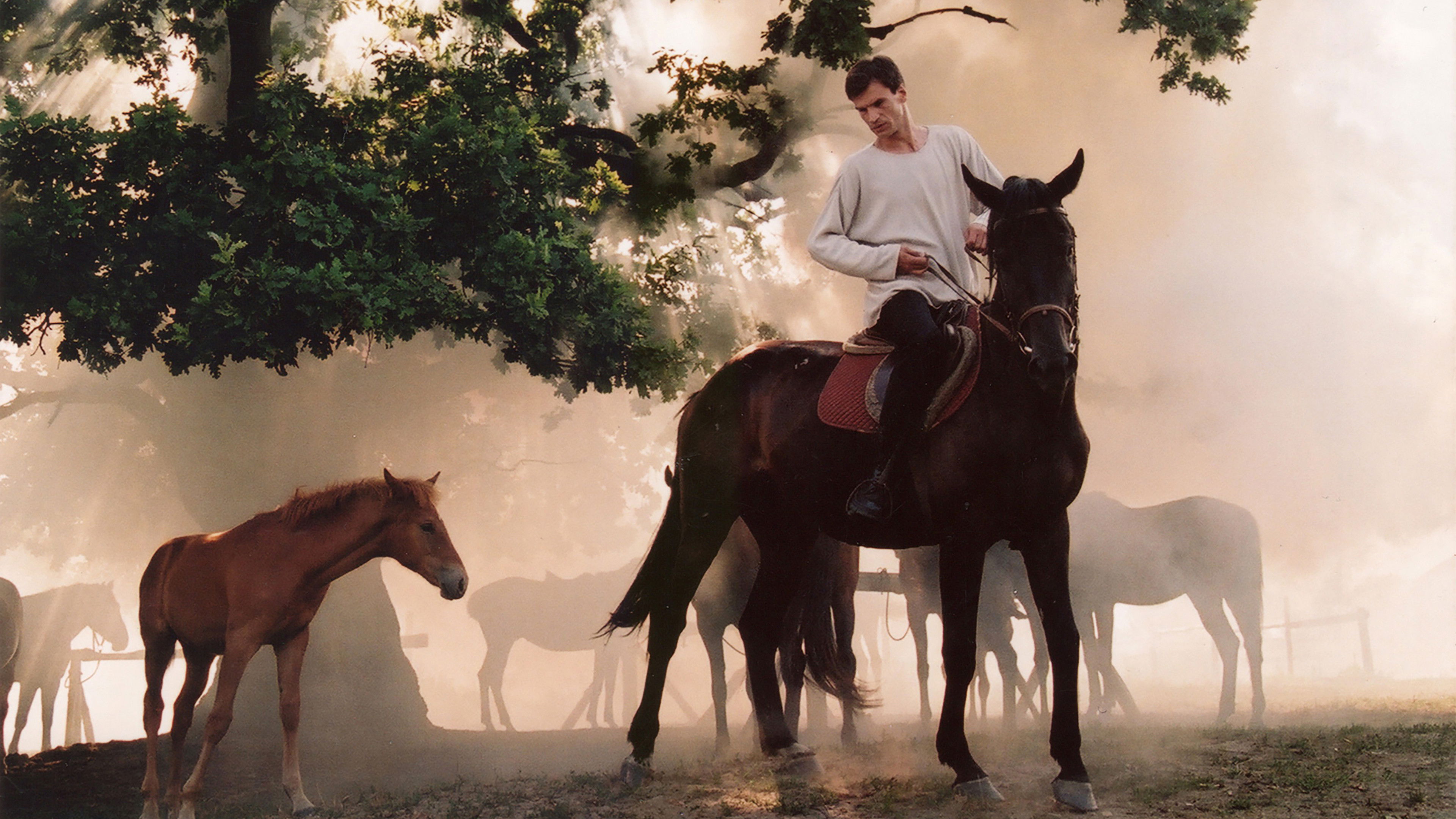 Backdrop for The Noise of the Wind