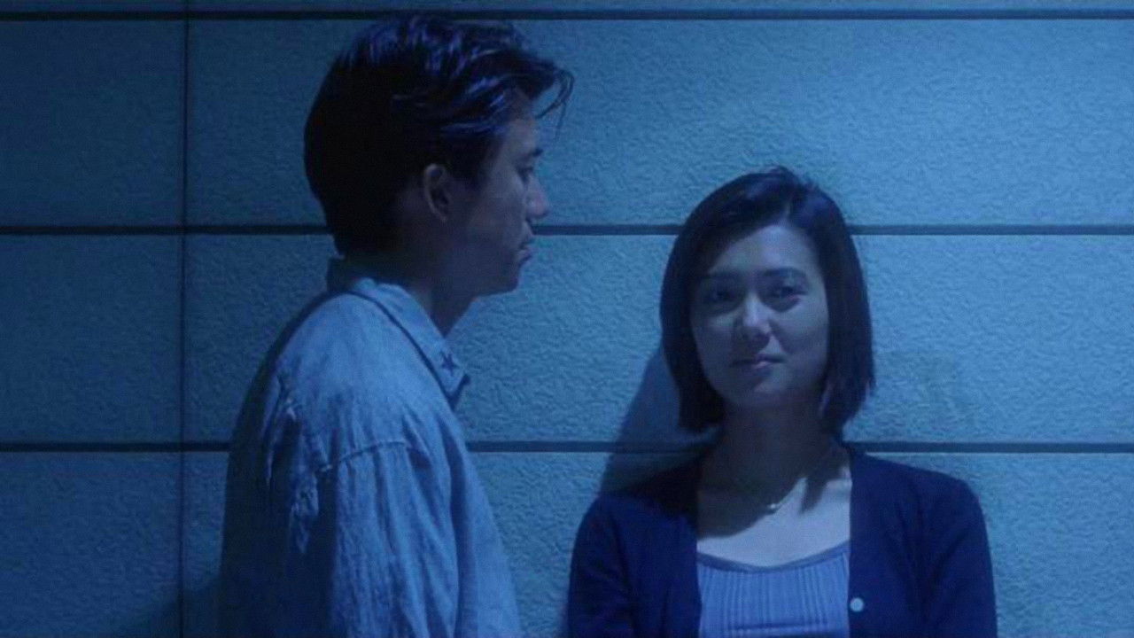 Backdrop for Apartment Wife: Lost Cat