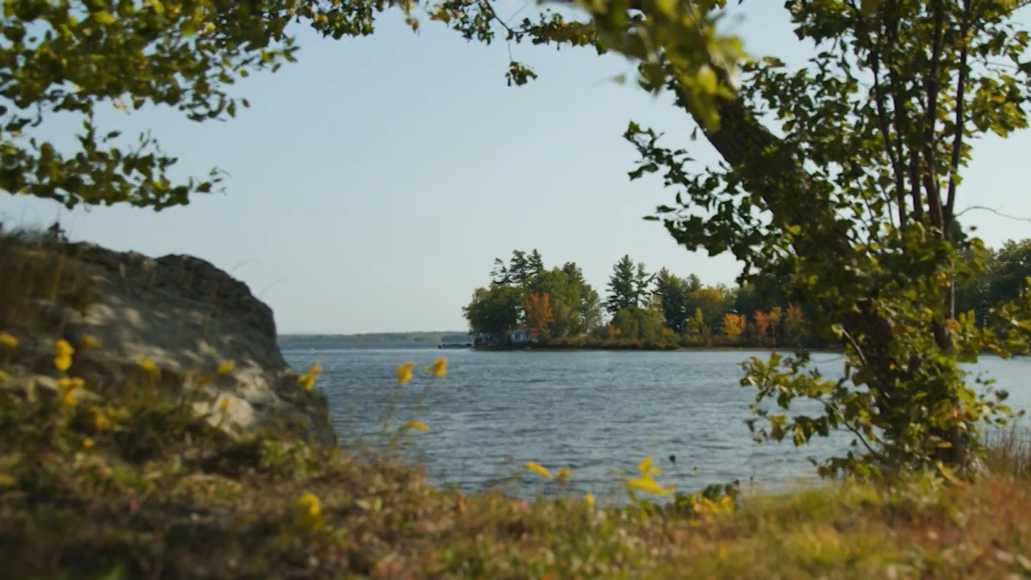 Backdrop for That Feeling, You Can Only Say What It Is In French
