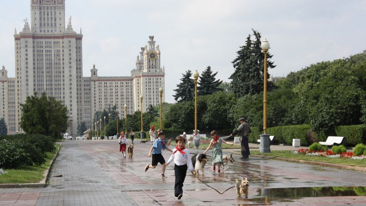 Backdrop for Dog's Paradise
