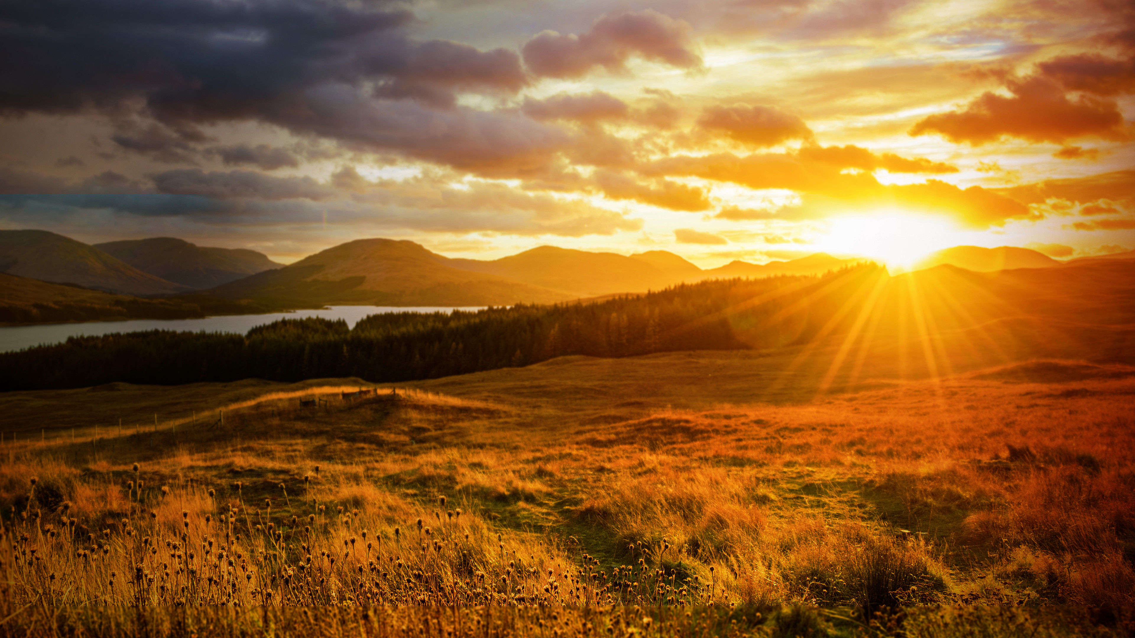 Backdrop for Autumnwatch