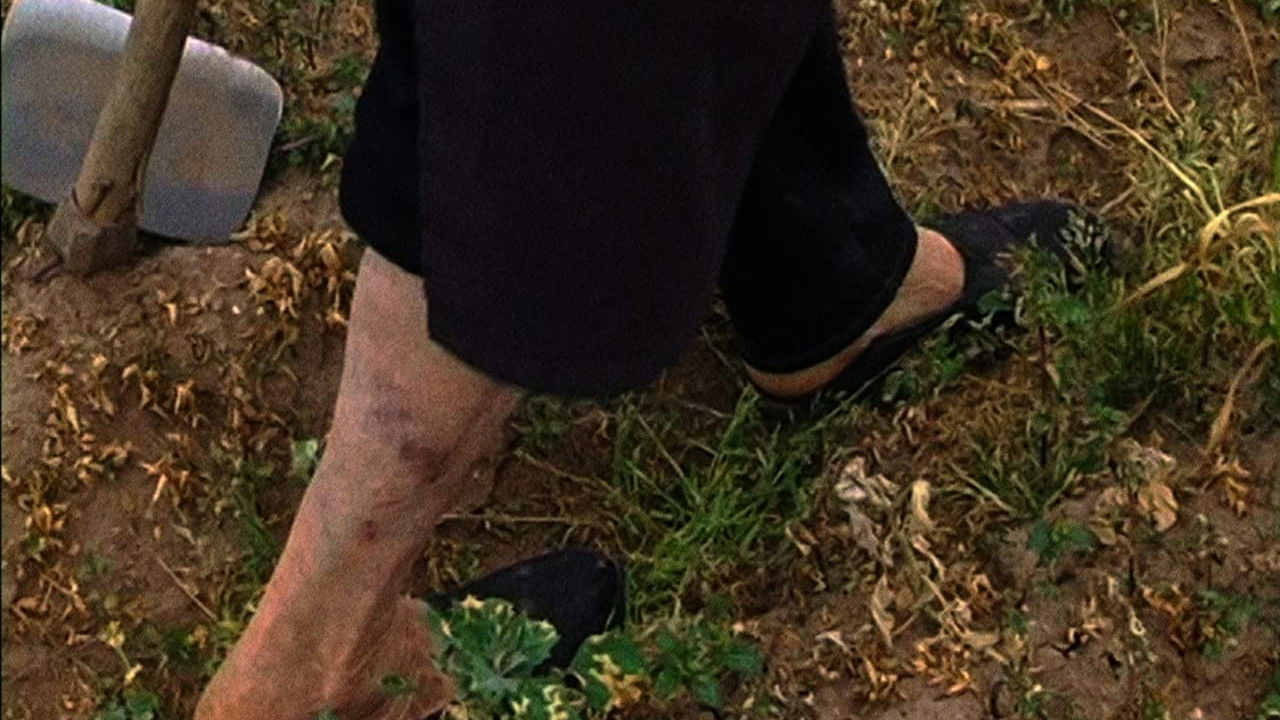 Backdrop for Striking Land