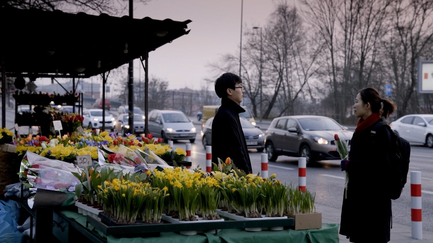 Backdrop for The King of the Border