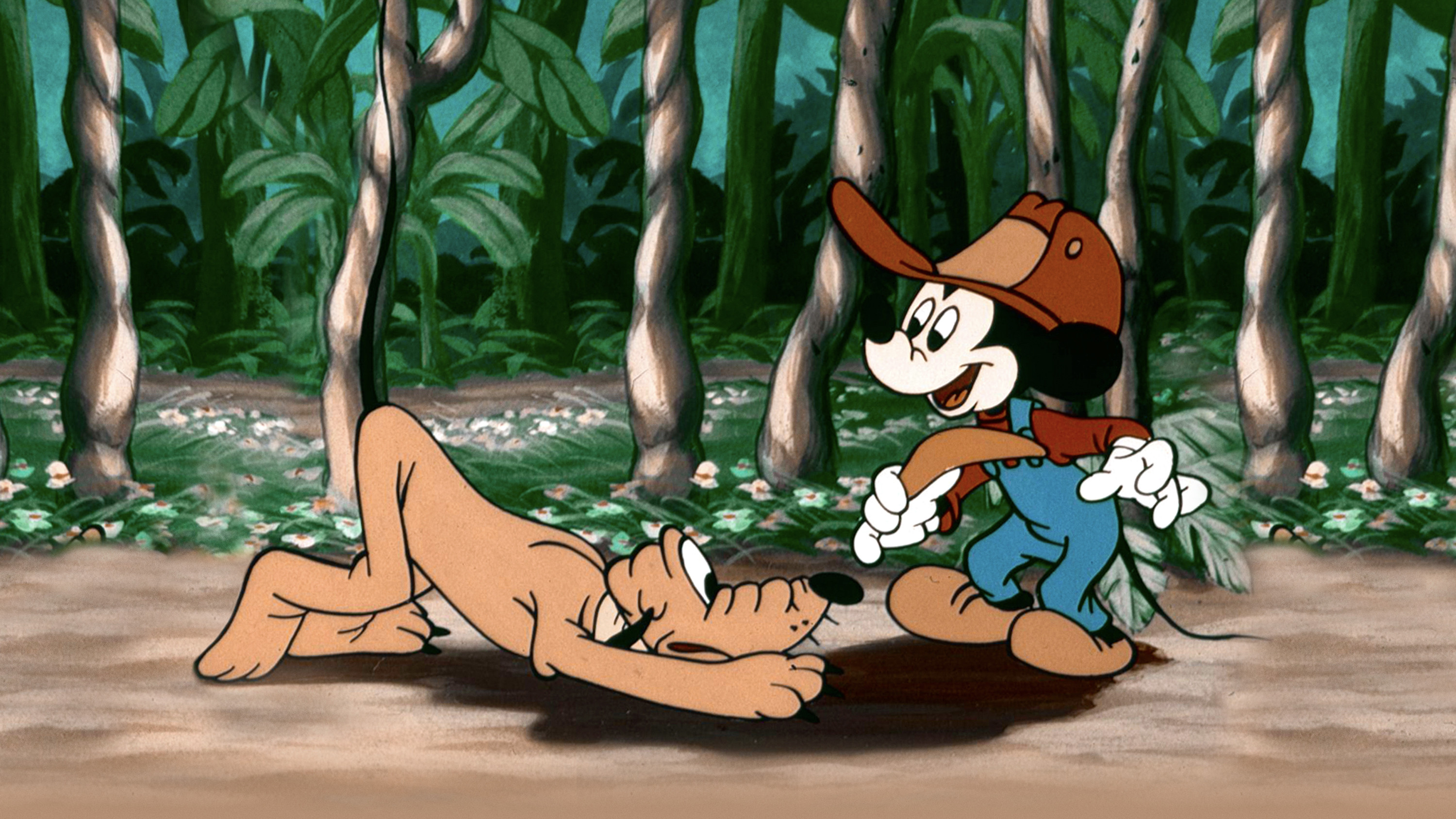 Backdrop for Mickey Down Under