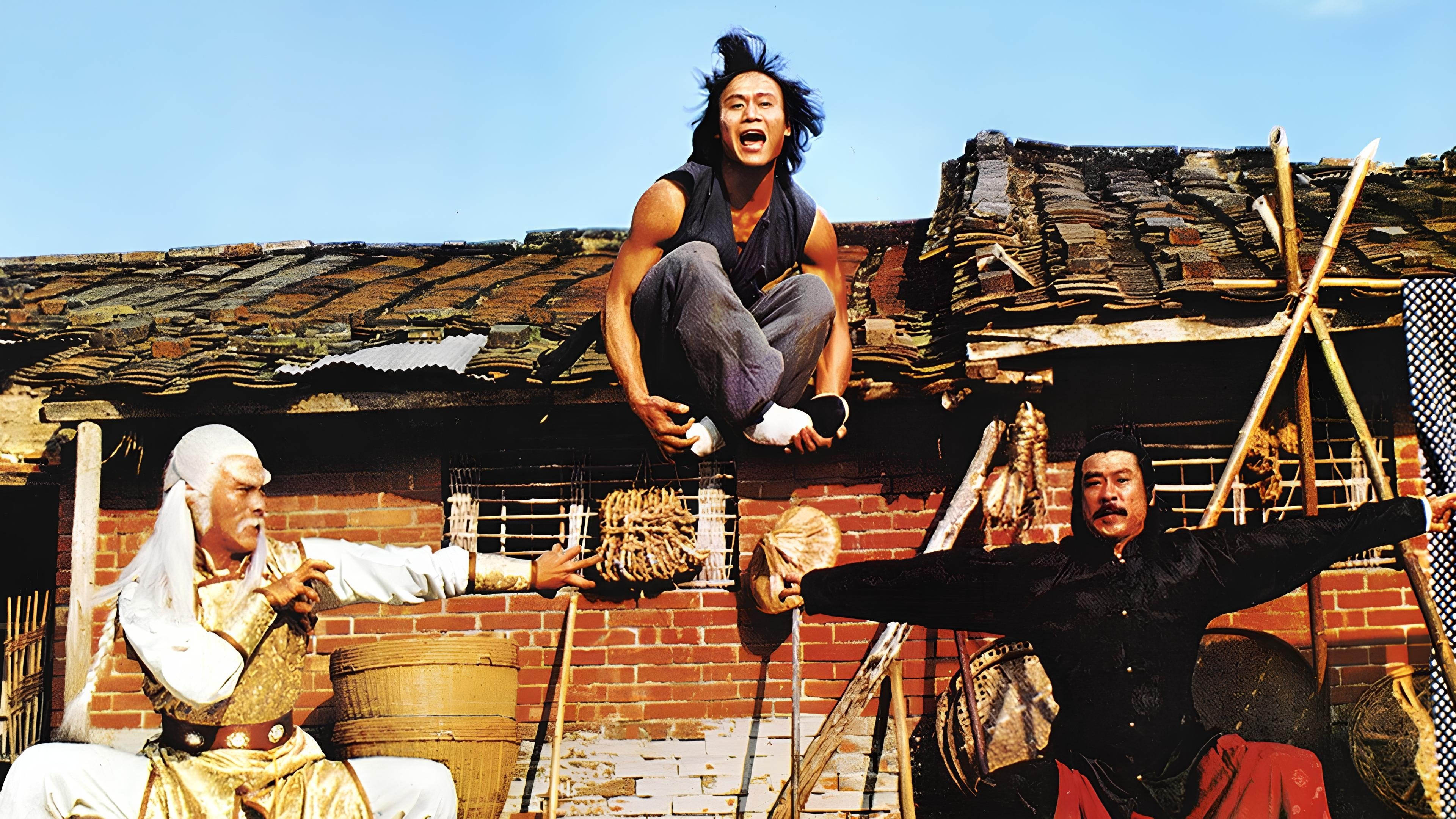 Backdrop for Seven Steps of Kung Fu