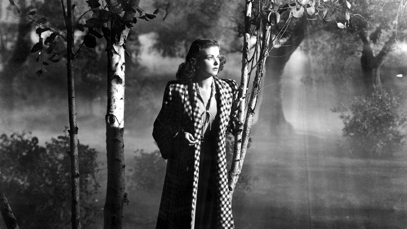 Backdrop for Secret Beyond the Door