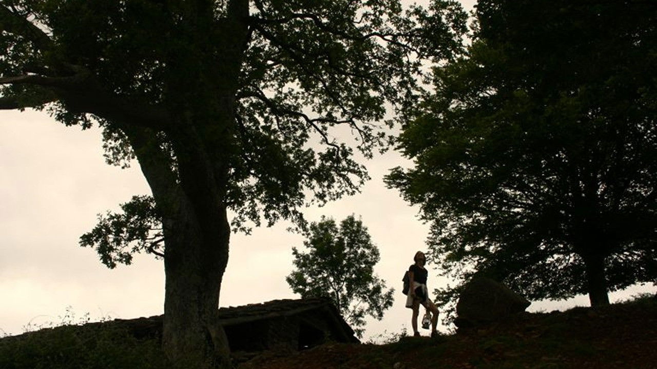 Backdrop for Hitzordu Tokiak