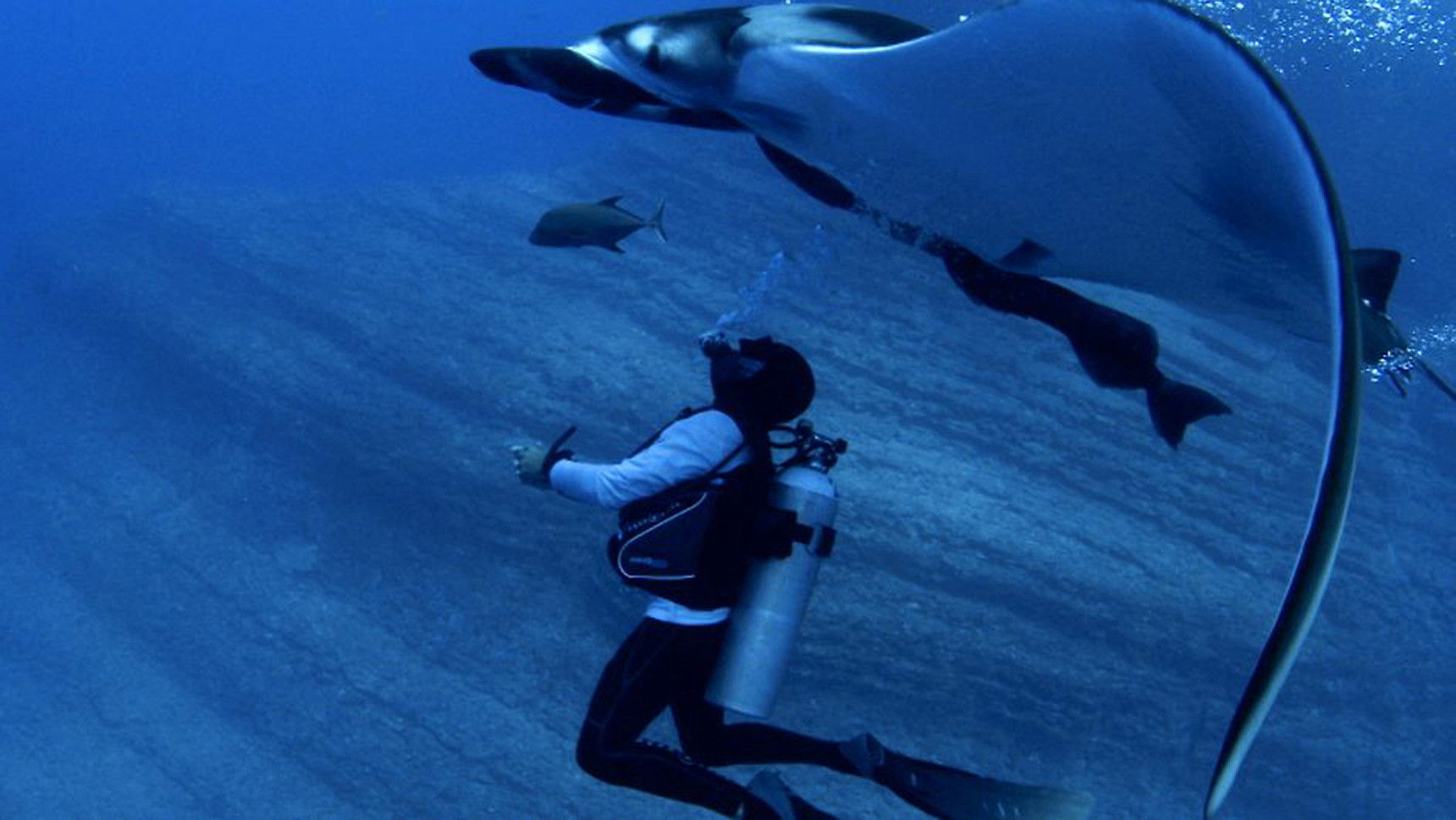 Backdrop for Alien Contact